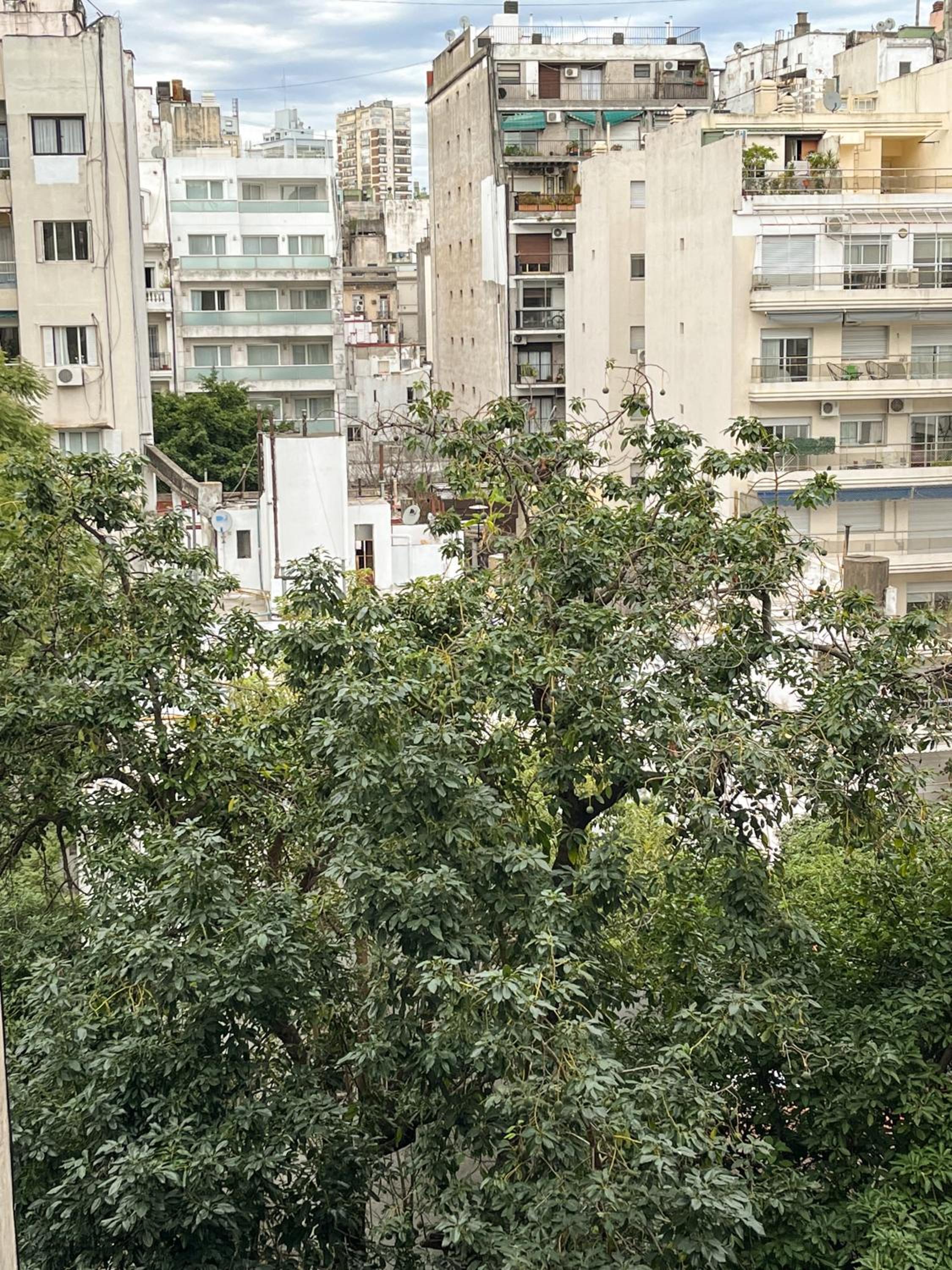 Confort y Luz en Recoleta 4 PAX
