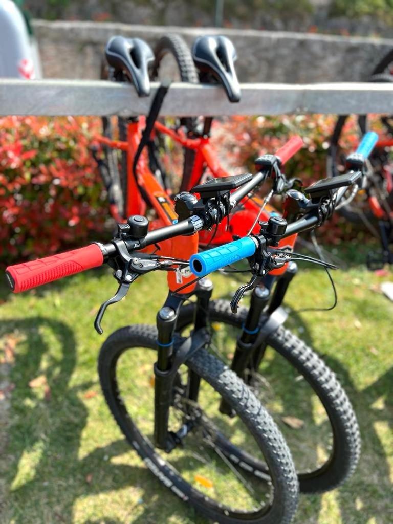 Photo 14