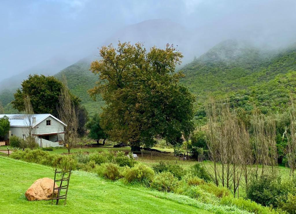 Pat Busch Mountain Reserve