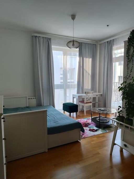 Studio with balcony in Vinohrady