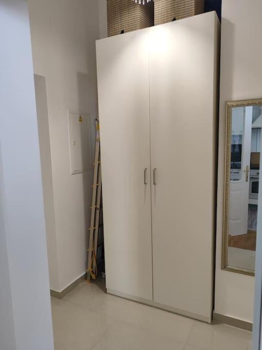 Studio with balcony in Vinohrady