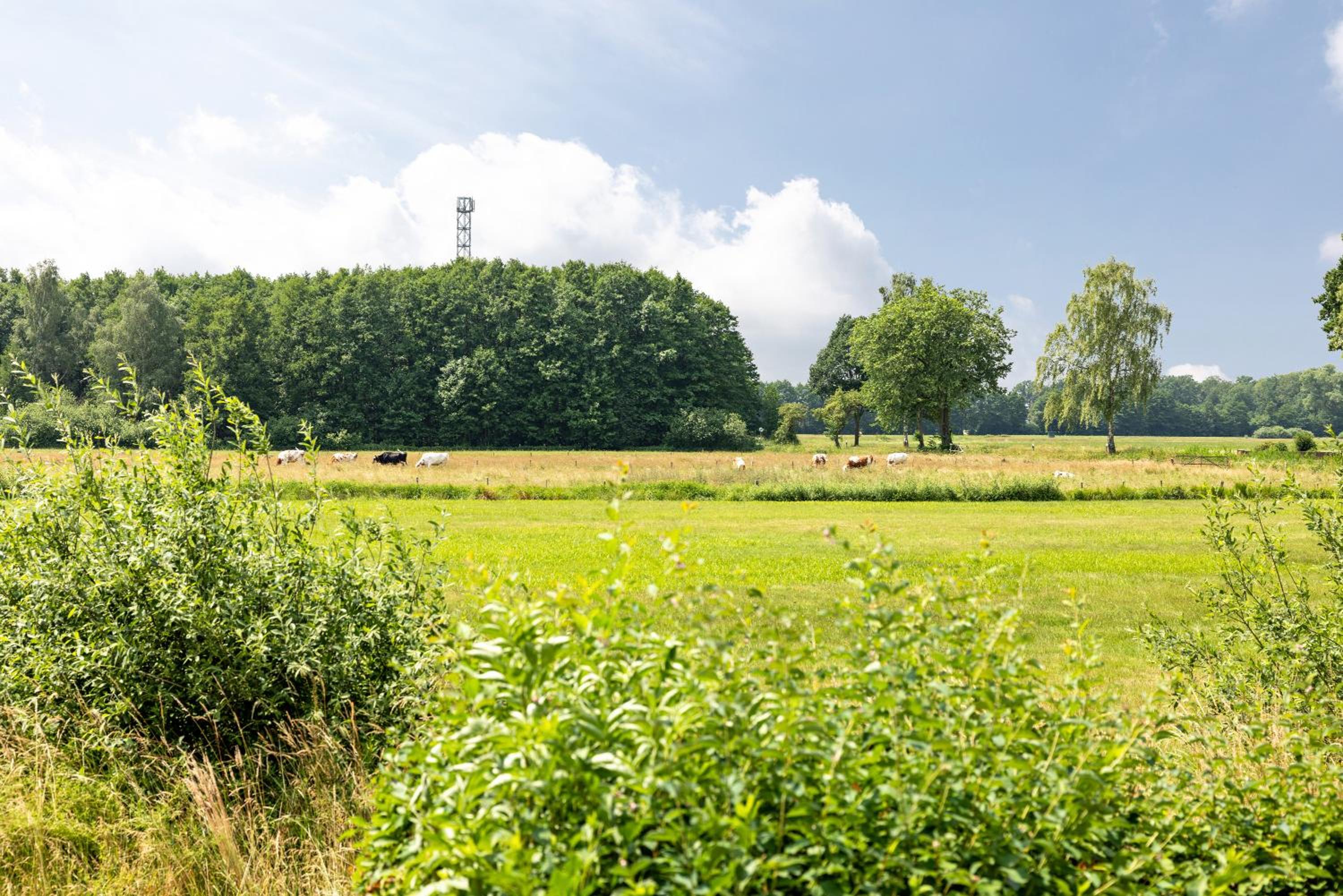 Elbtalquartier im Grünen
