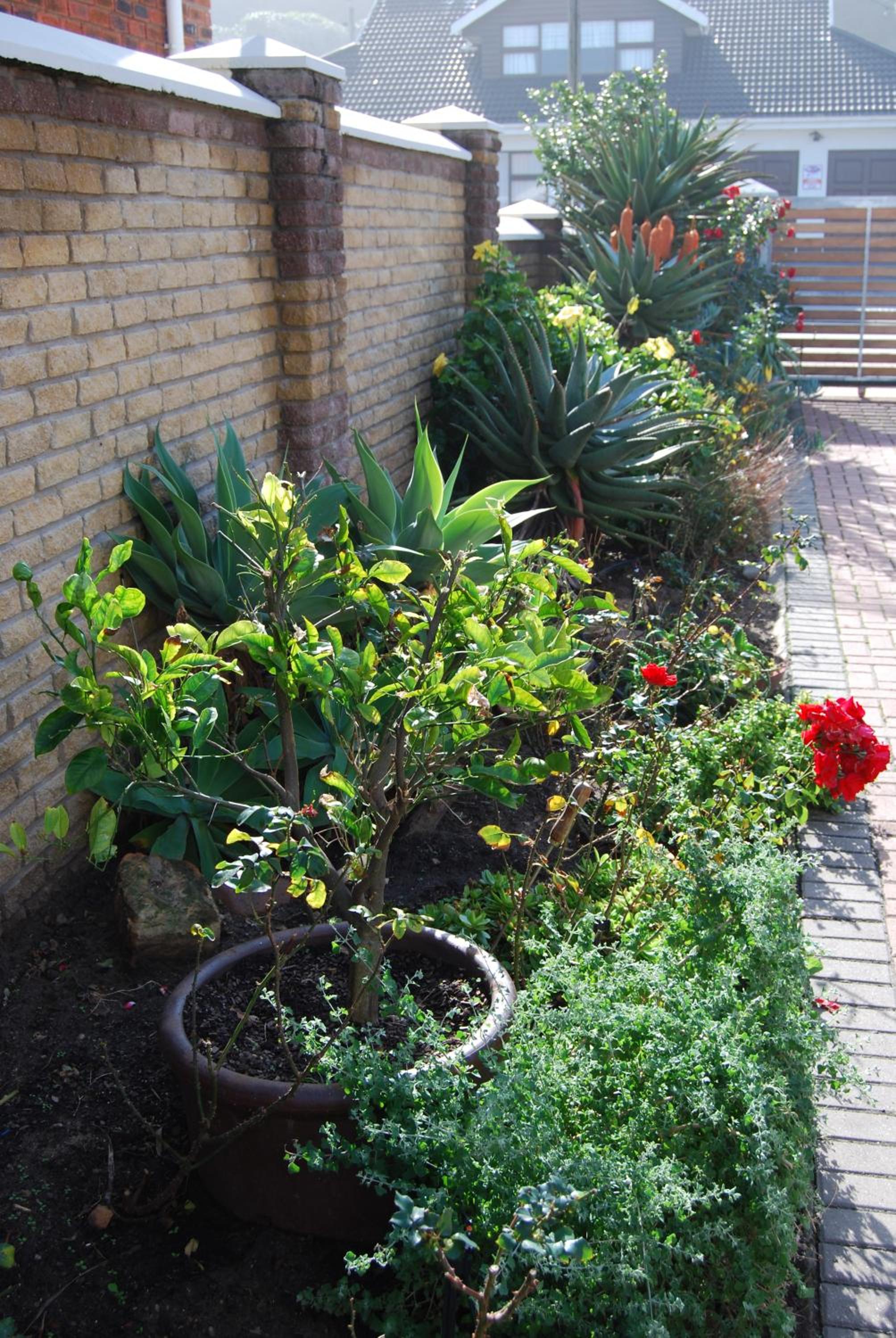 Photo 34