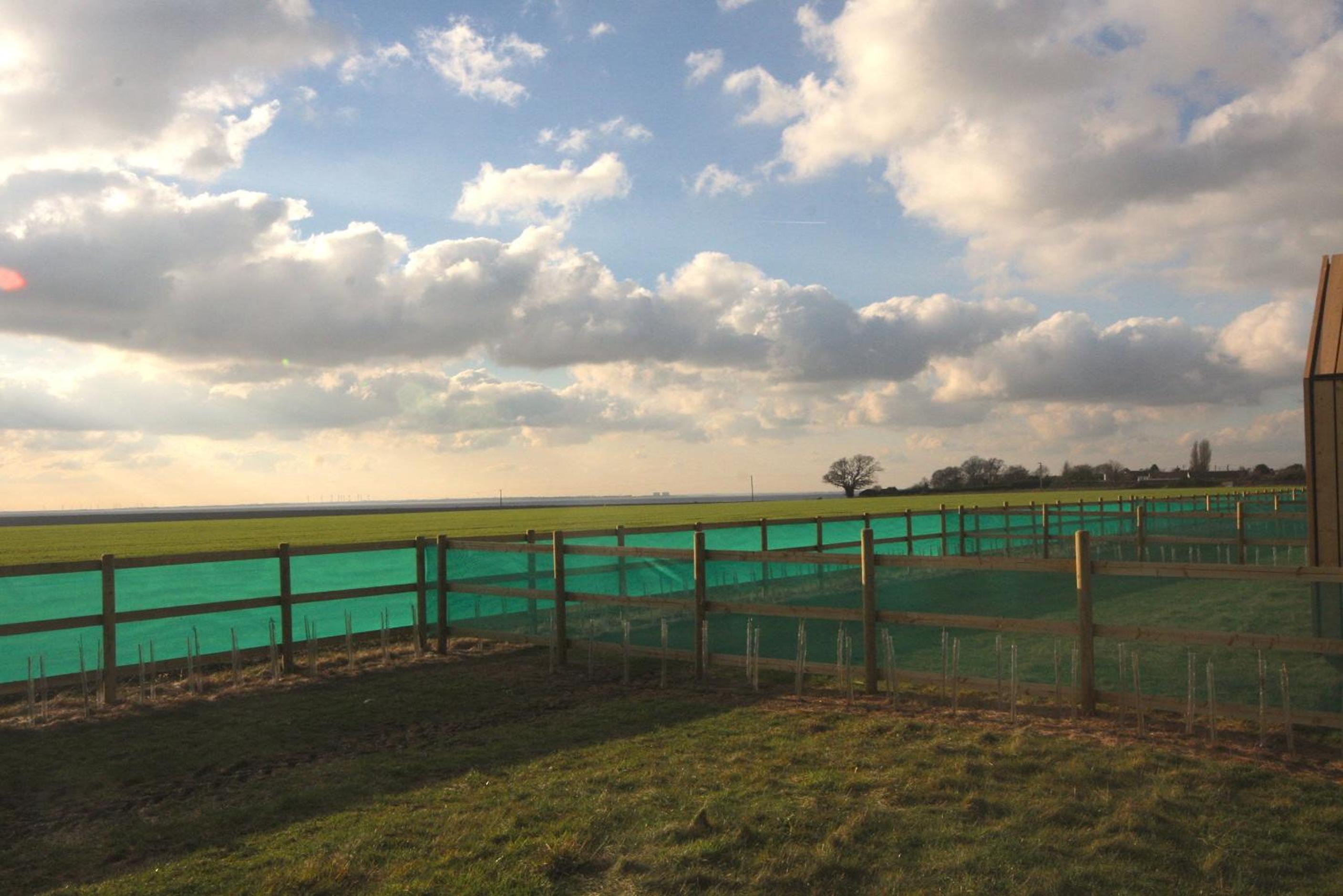 Lushna 3 Petite at Lee Wick Farm Cottages & Glamping view 3
