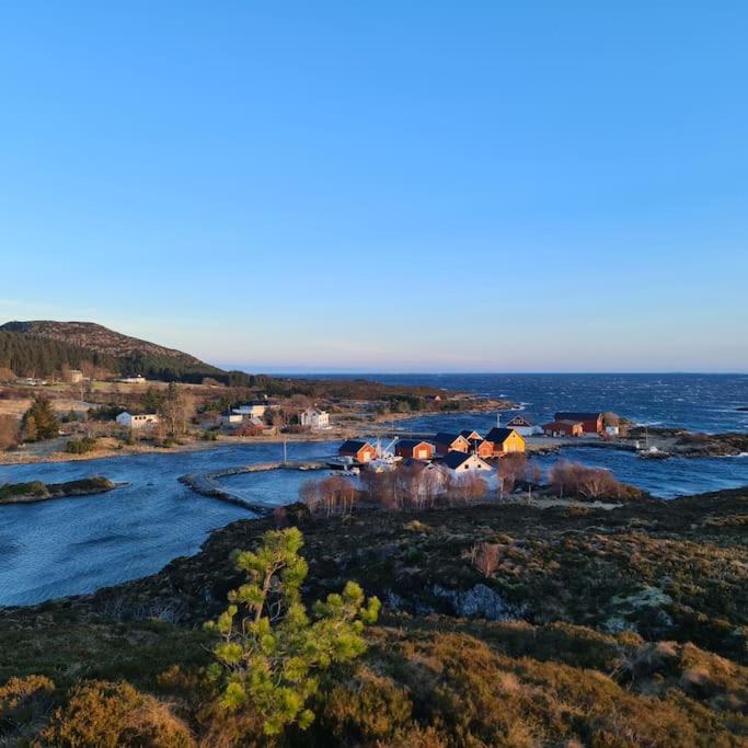 Koselig hus med hage i Herøy på Sunnmøre. view 3