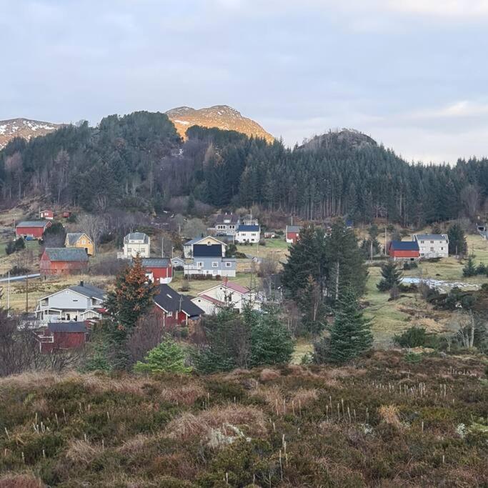 Koselig hus med hage i Herøy på Sunnmøre. view 2