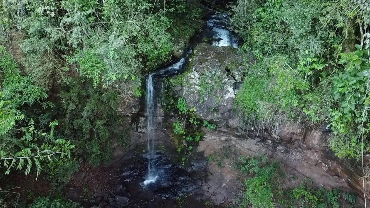 Yasí Yateré Reserva Agroecológica