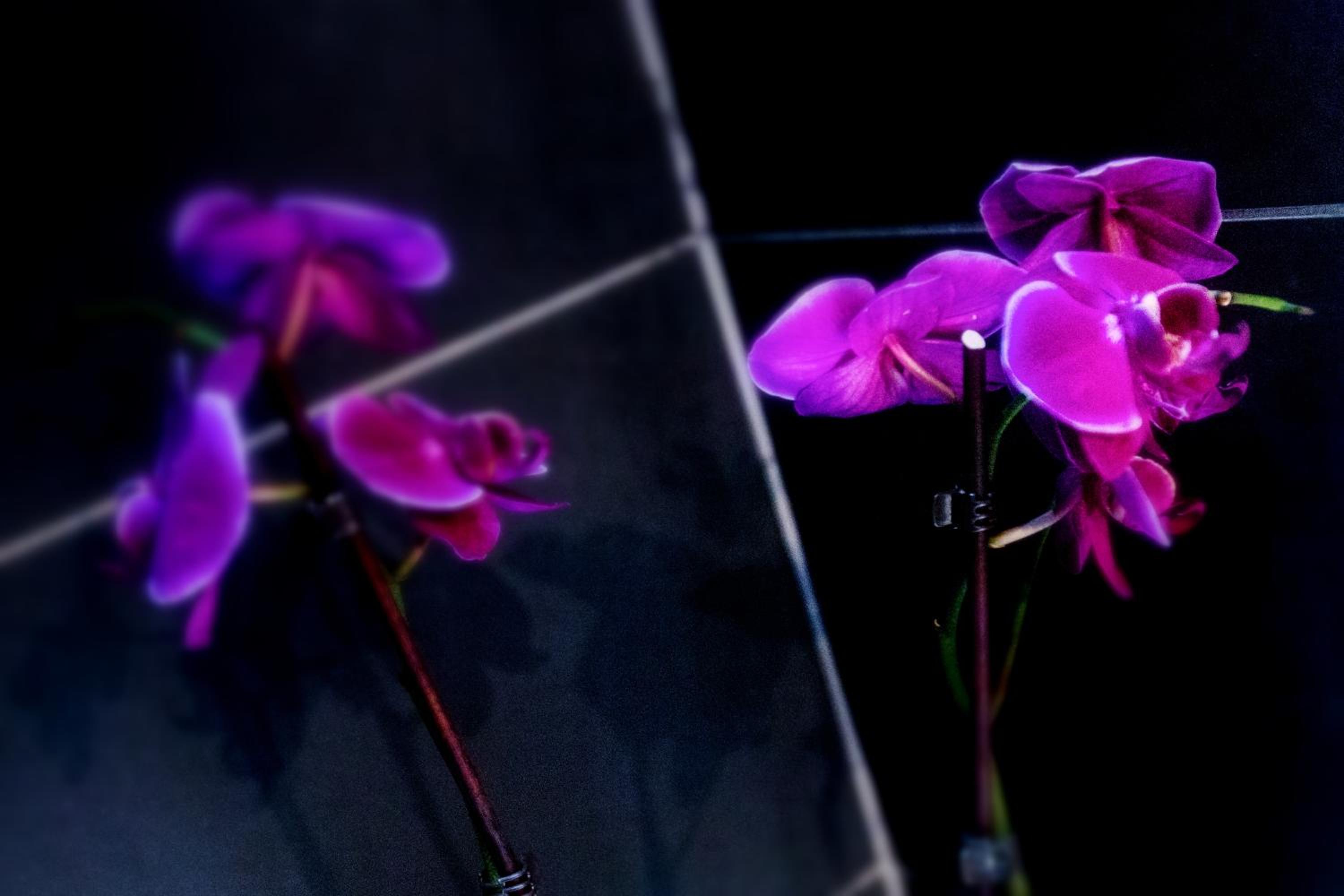 Hotel Gabriella - Image 3