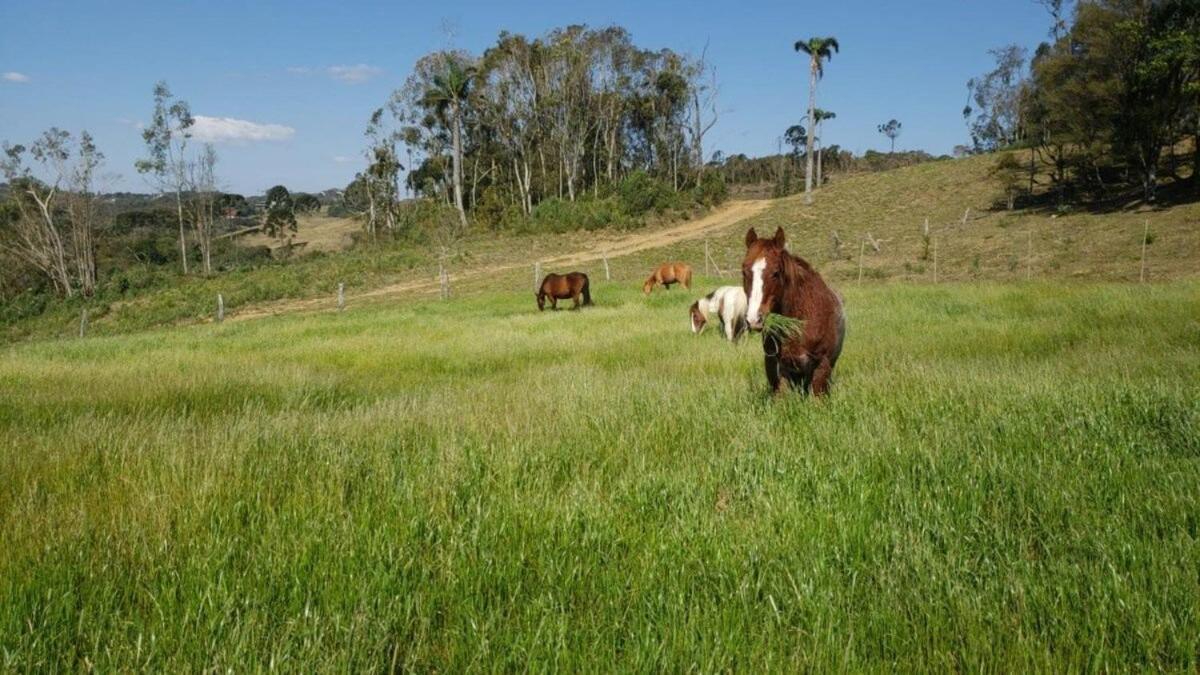 Rancho Sol Poente - Rancho Queimado - SC