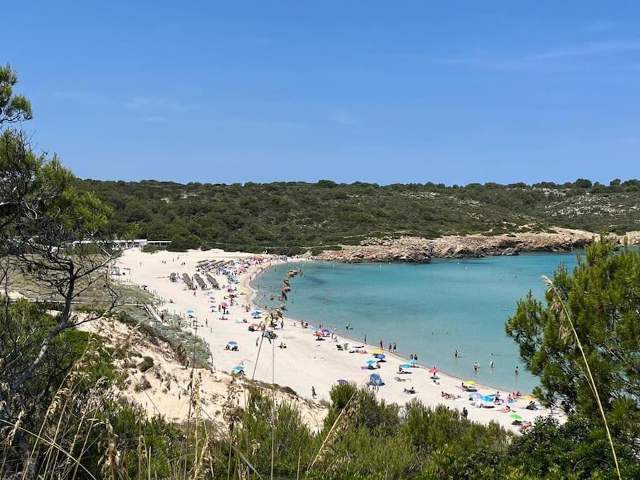 Precioso apartamento en primera línea de Mar