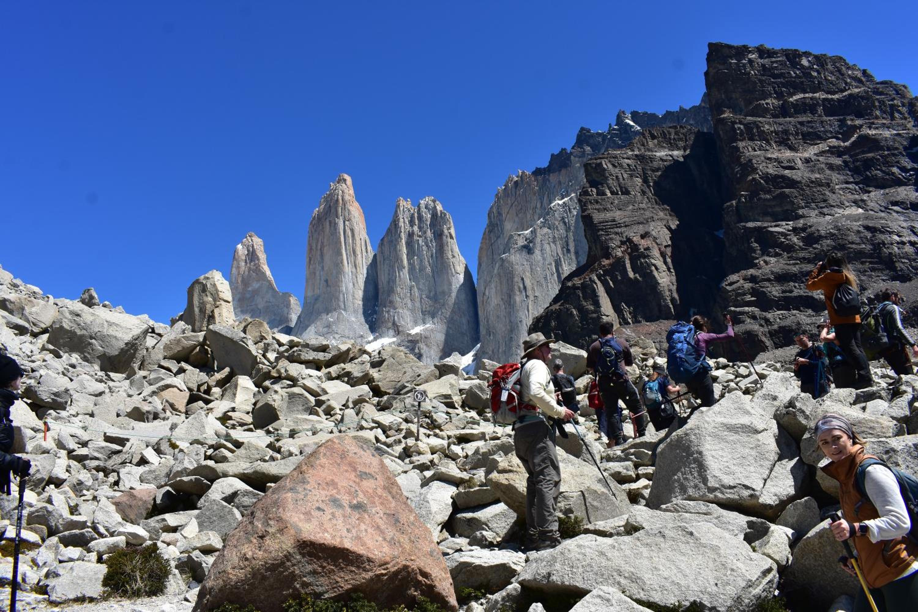 Casa Entre Ulmos y Lengas
