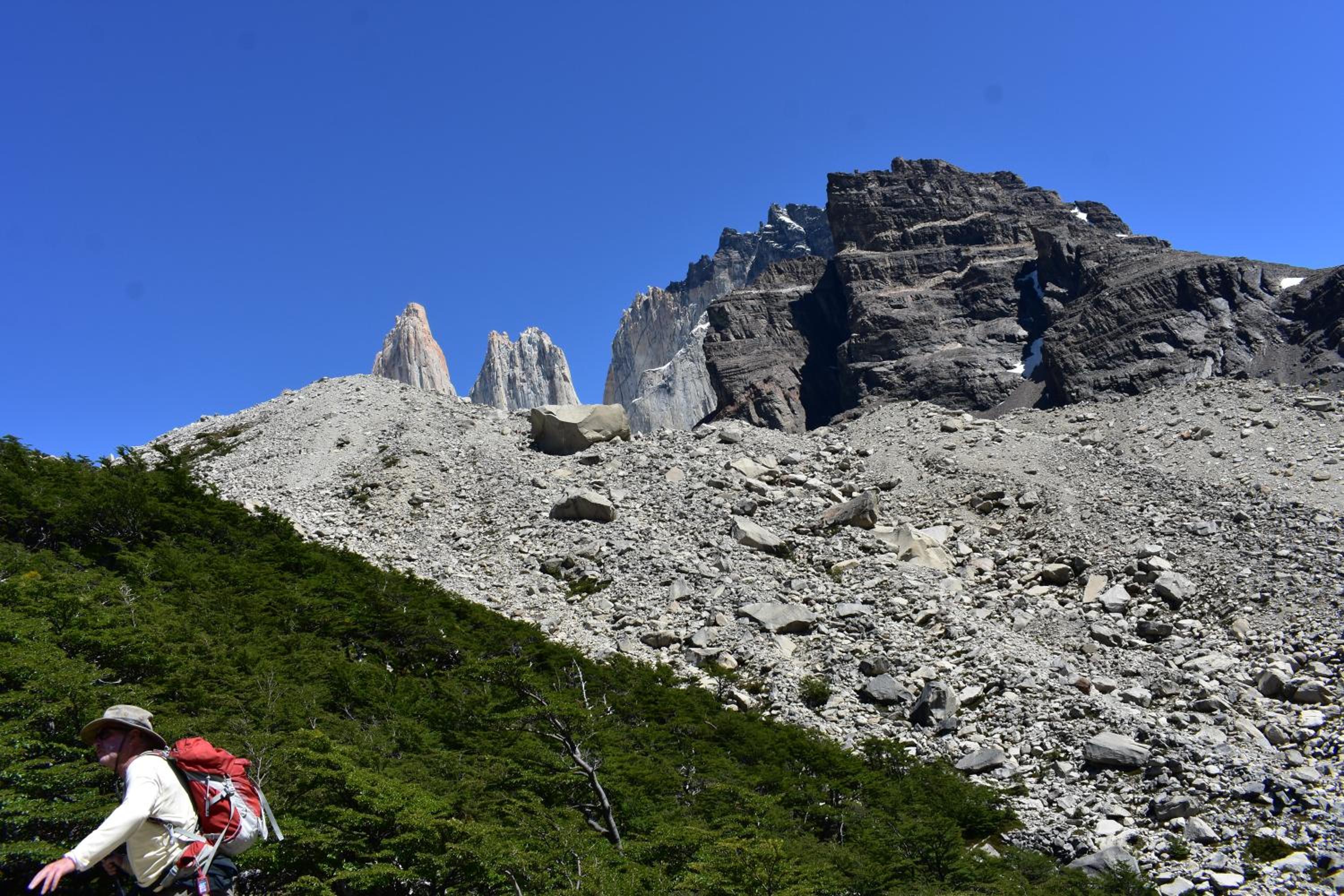 Casa Entre Ulmos y Lengas