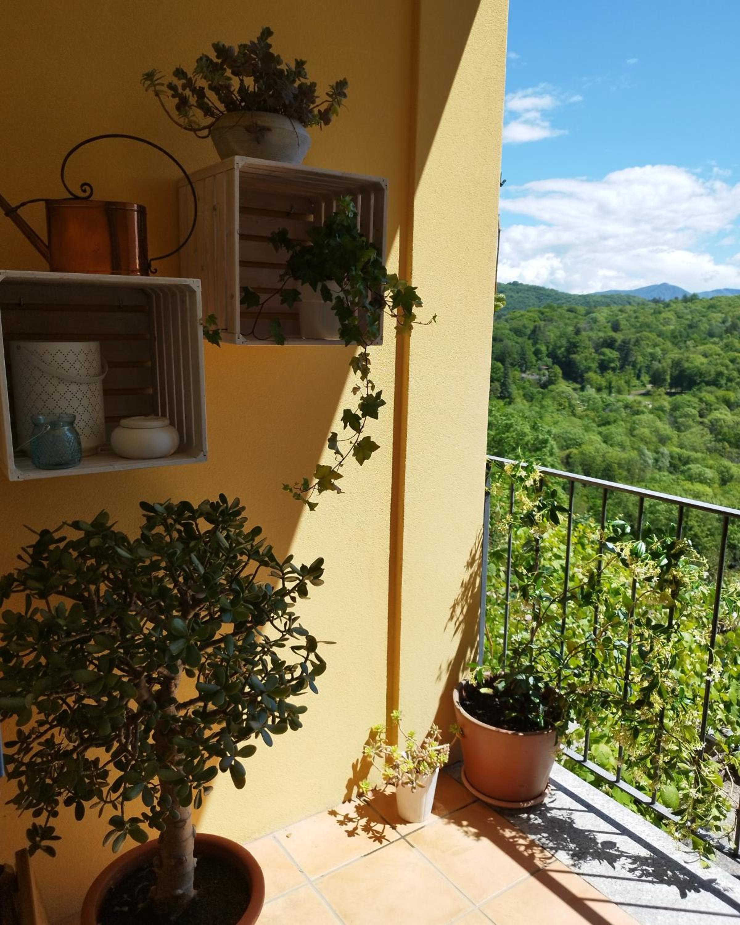 casa pungitopo