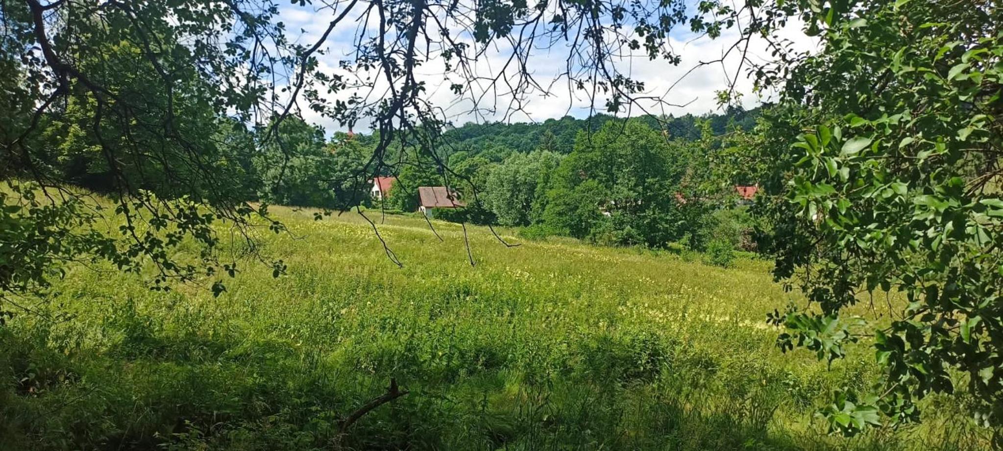 Chata u Křupalů