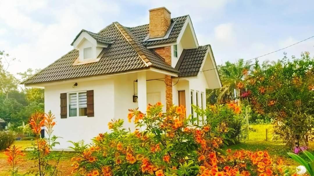 Tehel Farmhouse photo 1