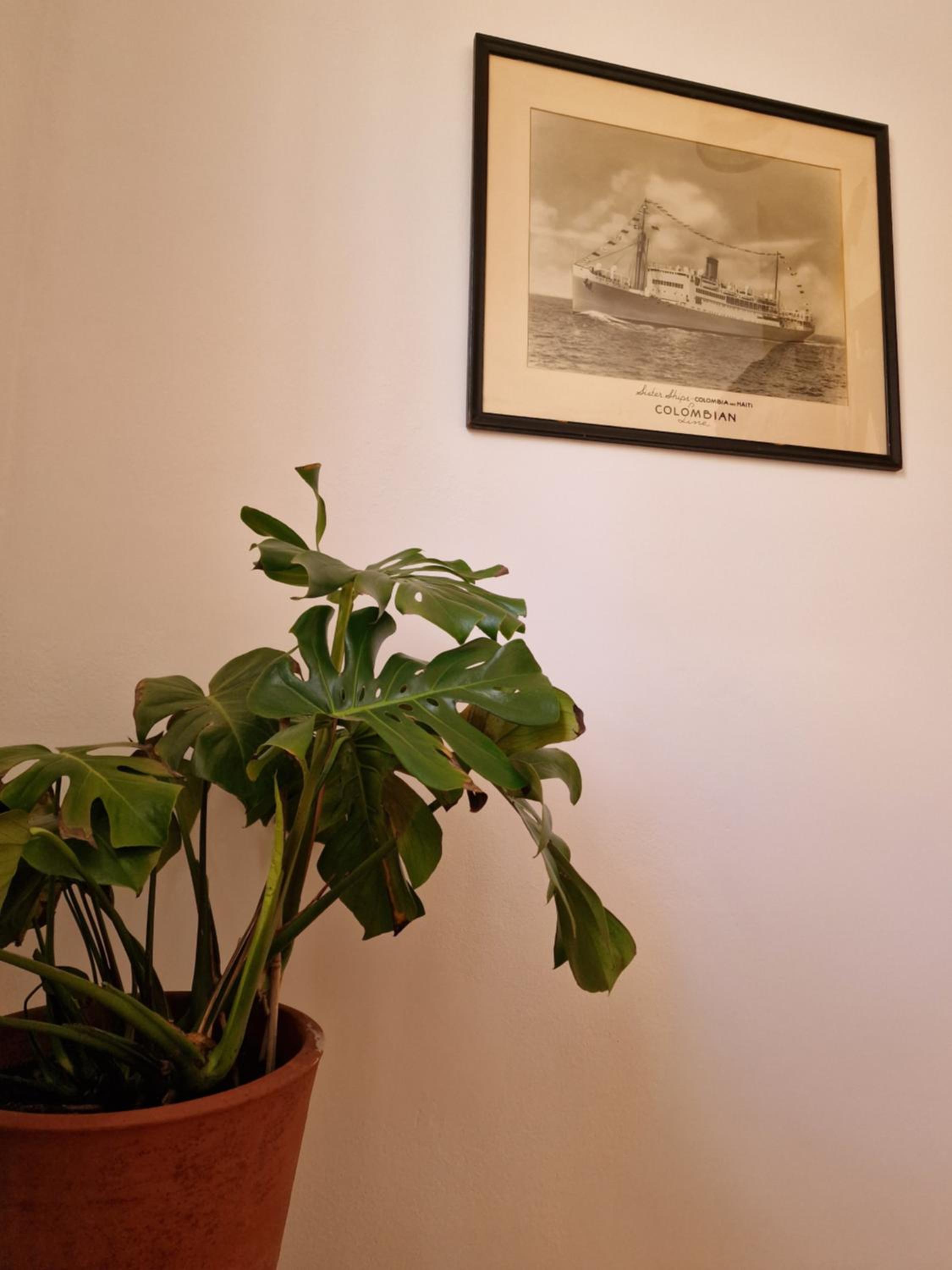 Photo 46