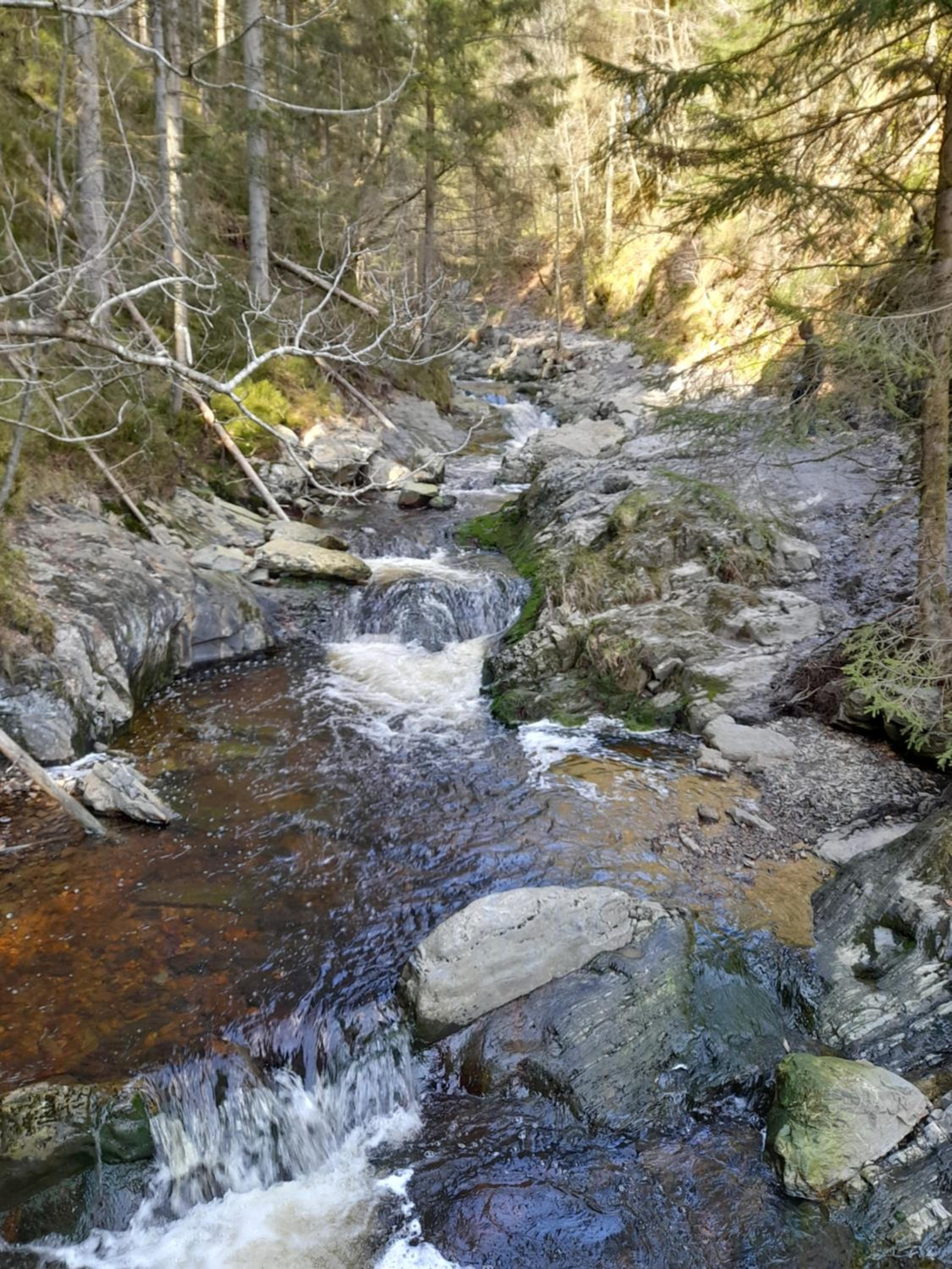Photo 35
