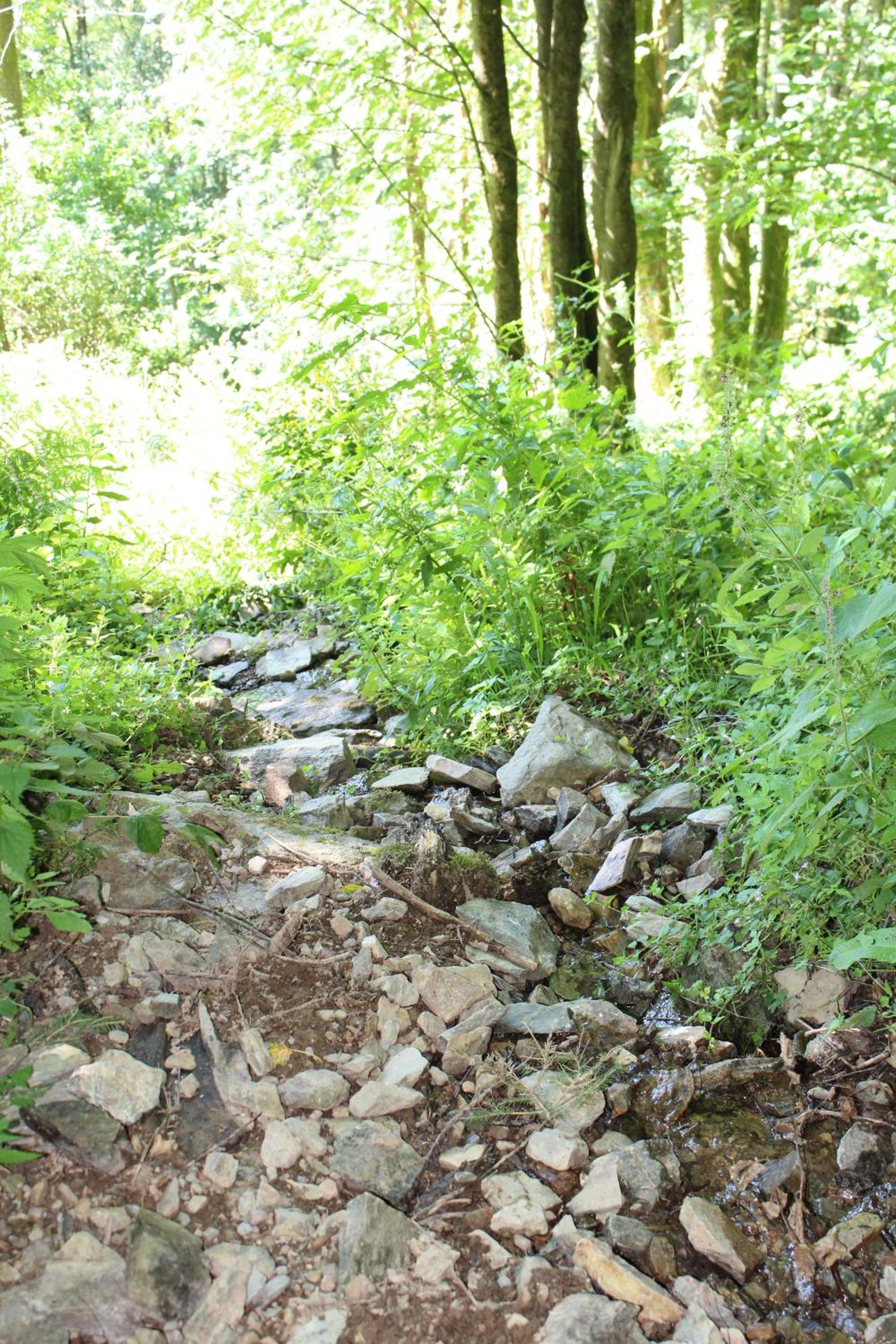 Photo 32