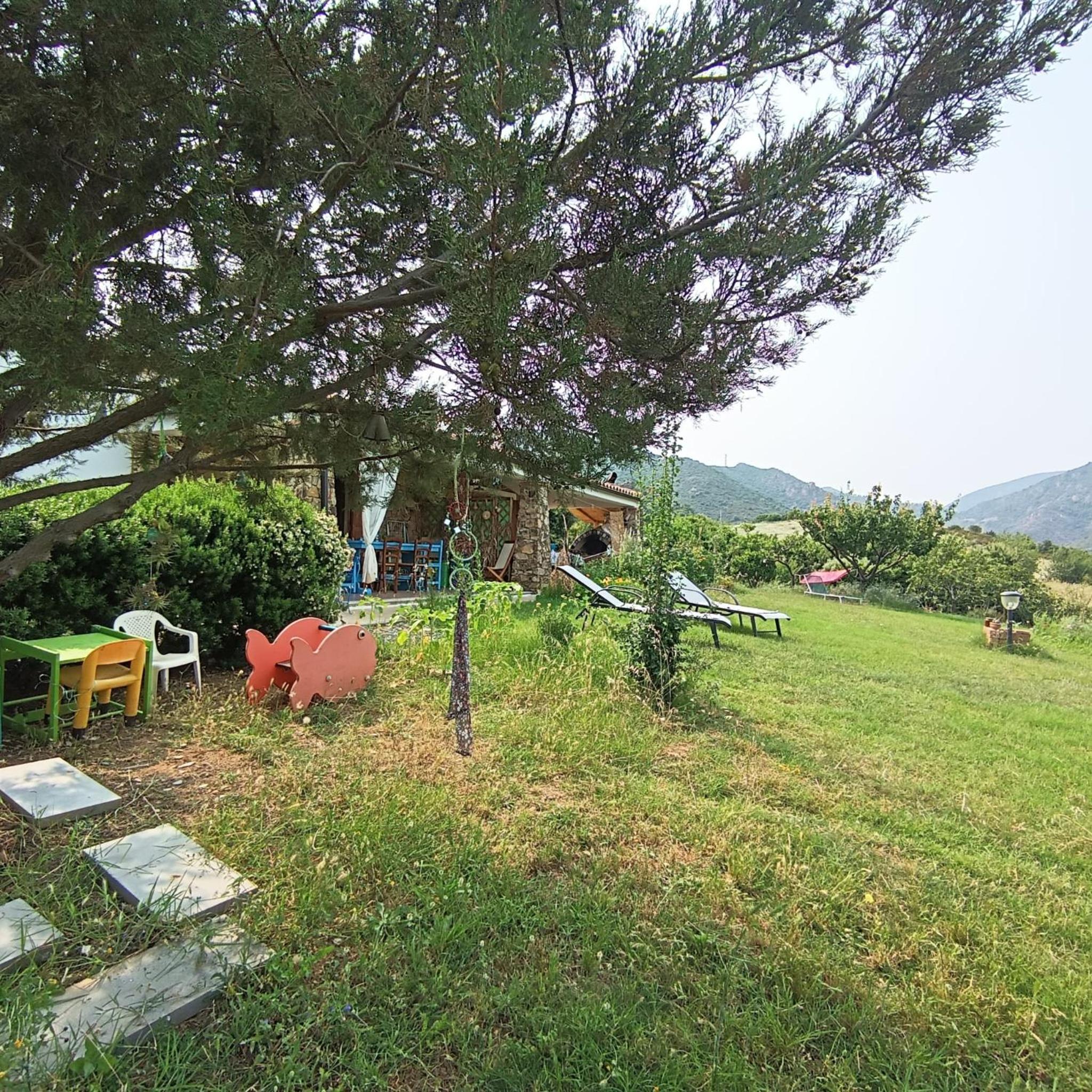 Photo 6