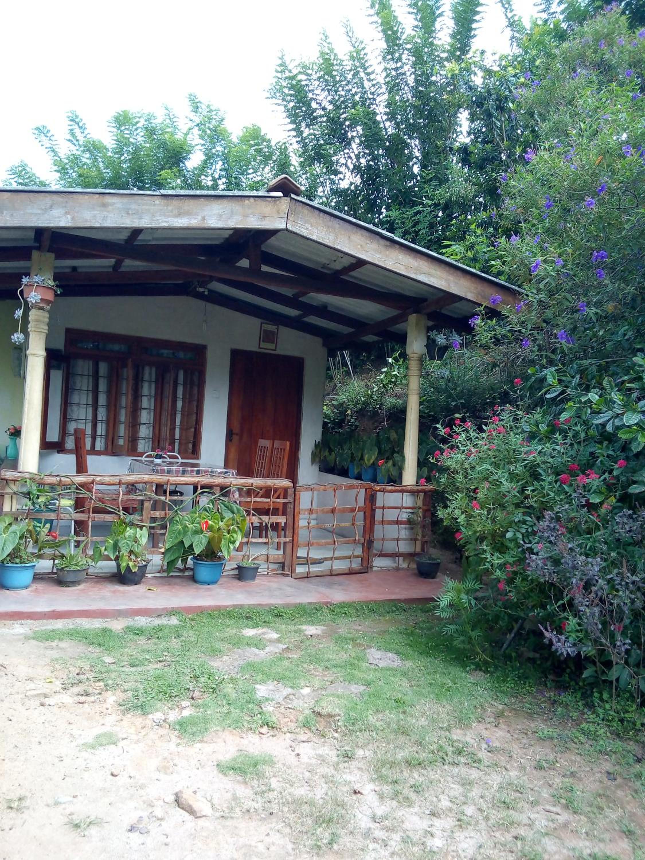 Photo 7