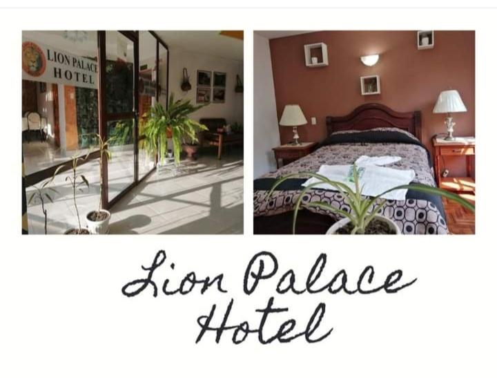 HOTEL LION PALACE