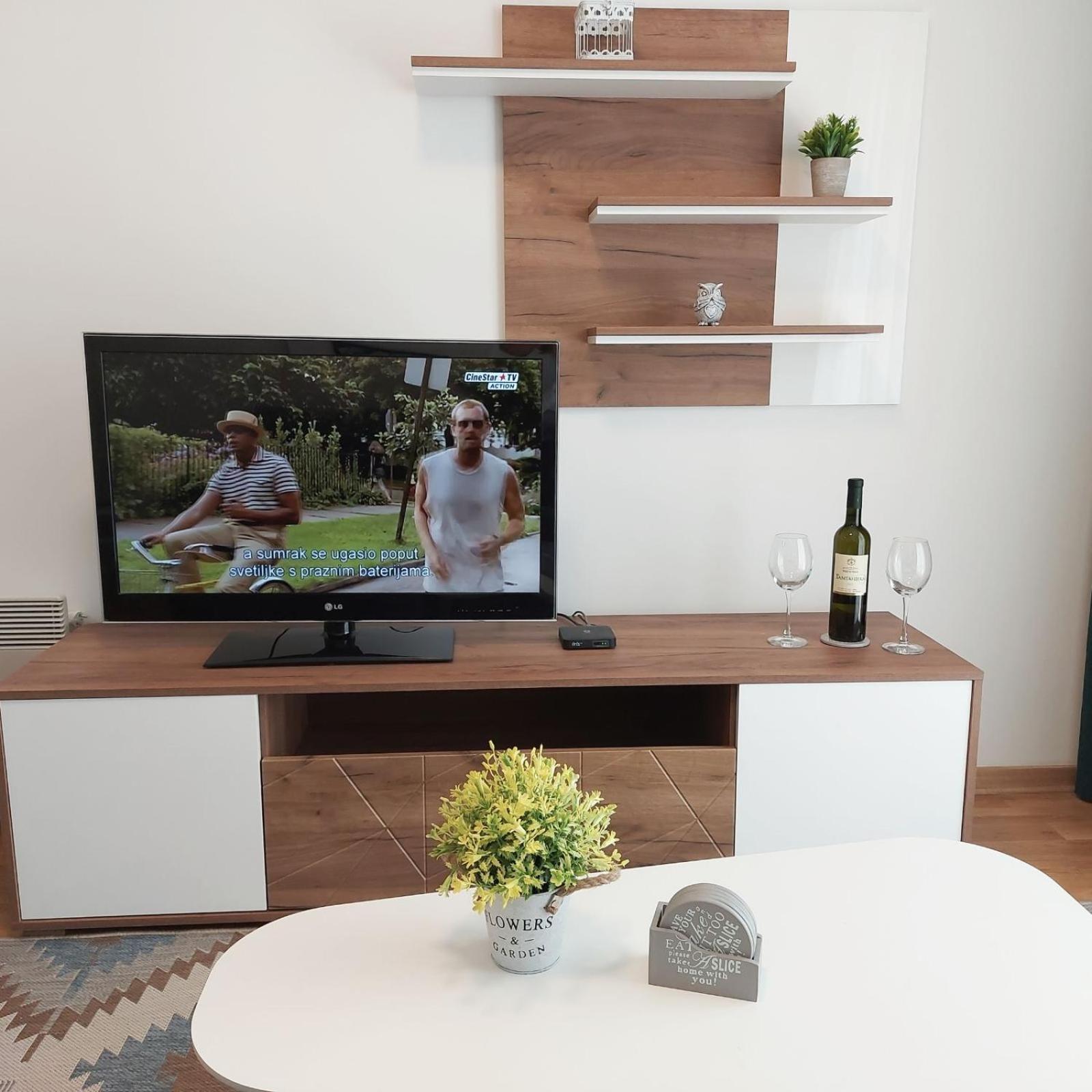 Apartman SANA & Free GARAŽA view 5