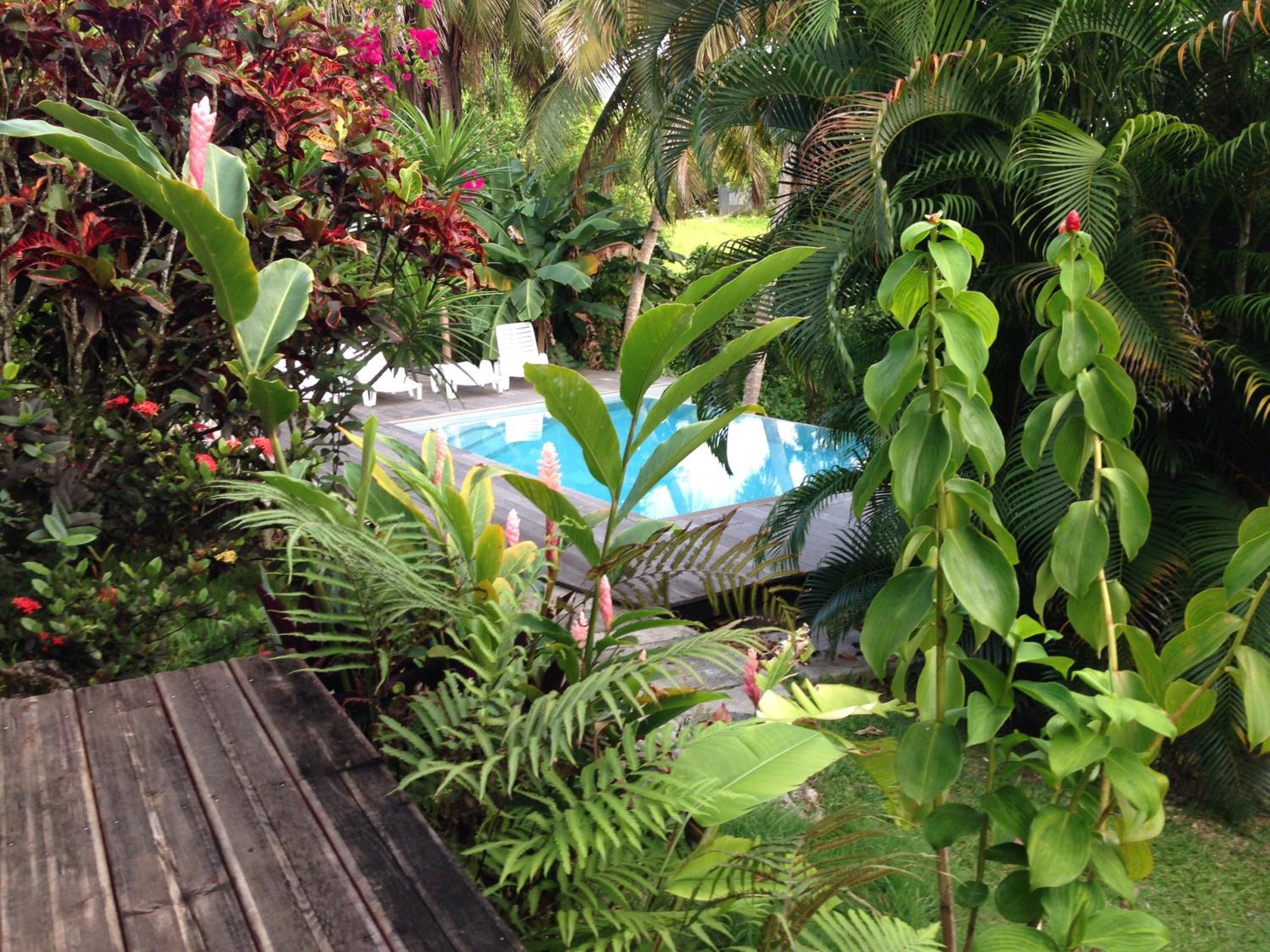 Studio Le Gosier, Wi-Fi, piscine dans gîte view 5