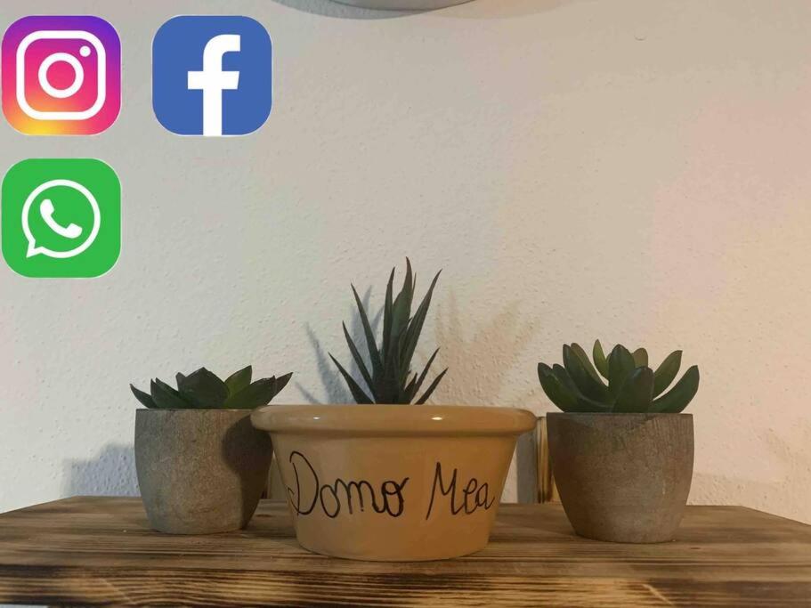 DomoMea Apartment