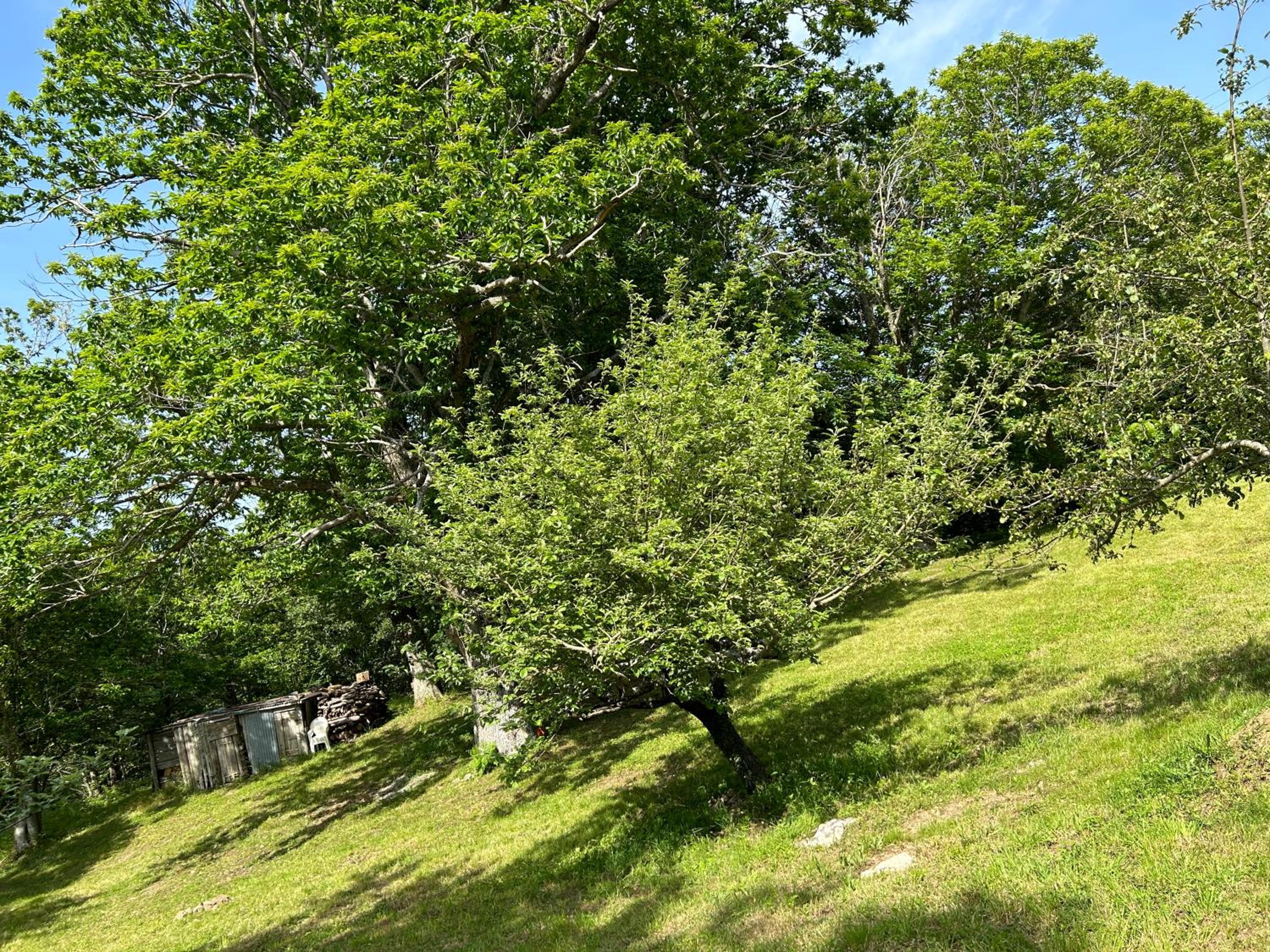 Gîte Chez Pierrot view 4
