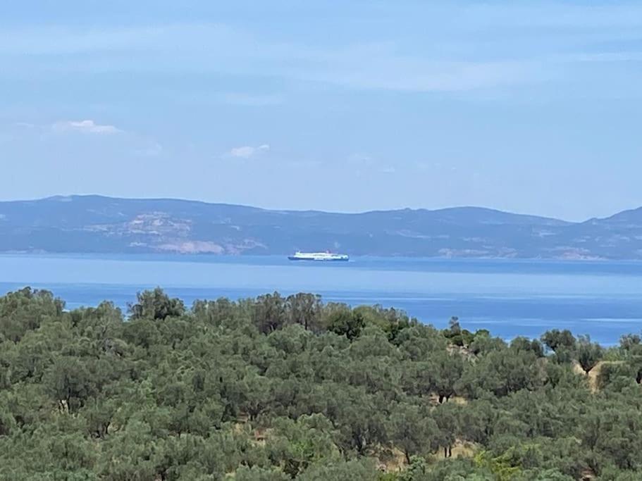 Pinelopis House, Skala Sikamineas, Molivos, Mytilene