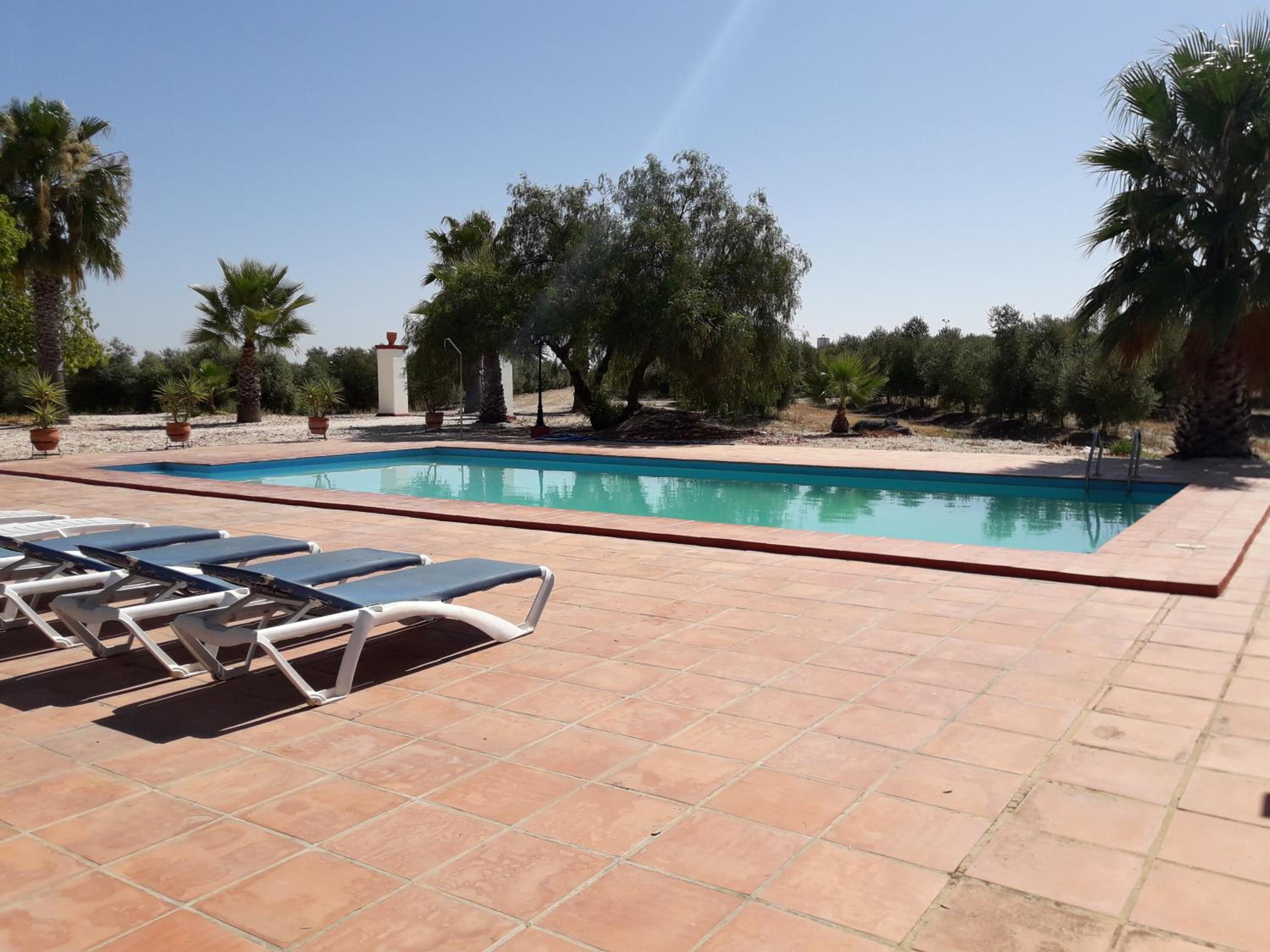 Finca Castellares