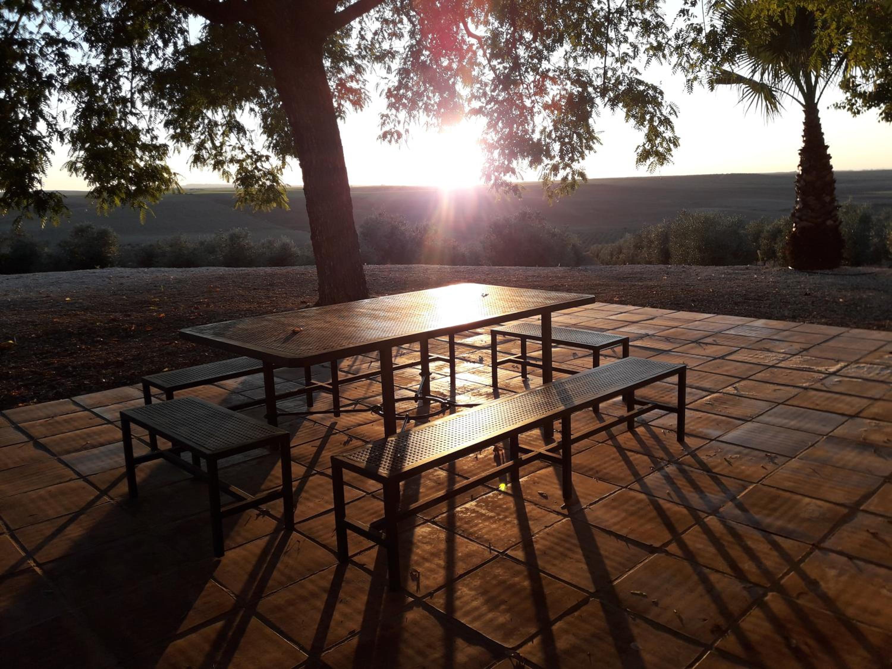 Finca Castellares