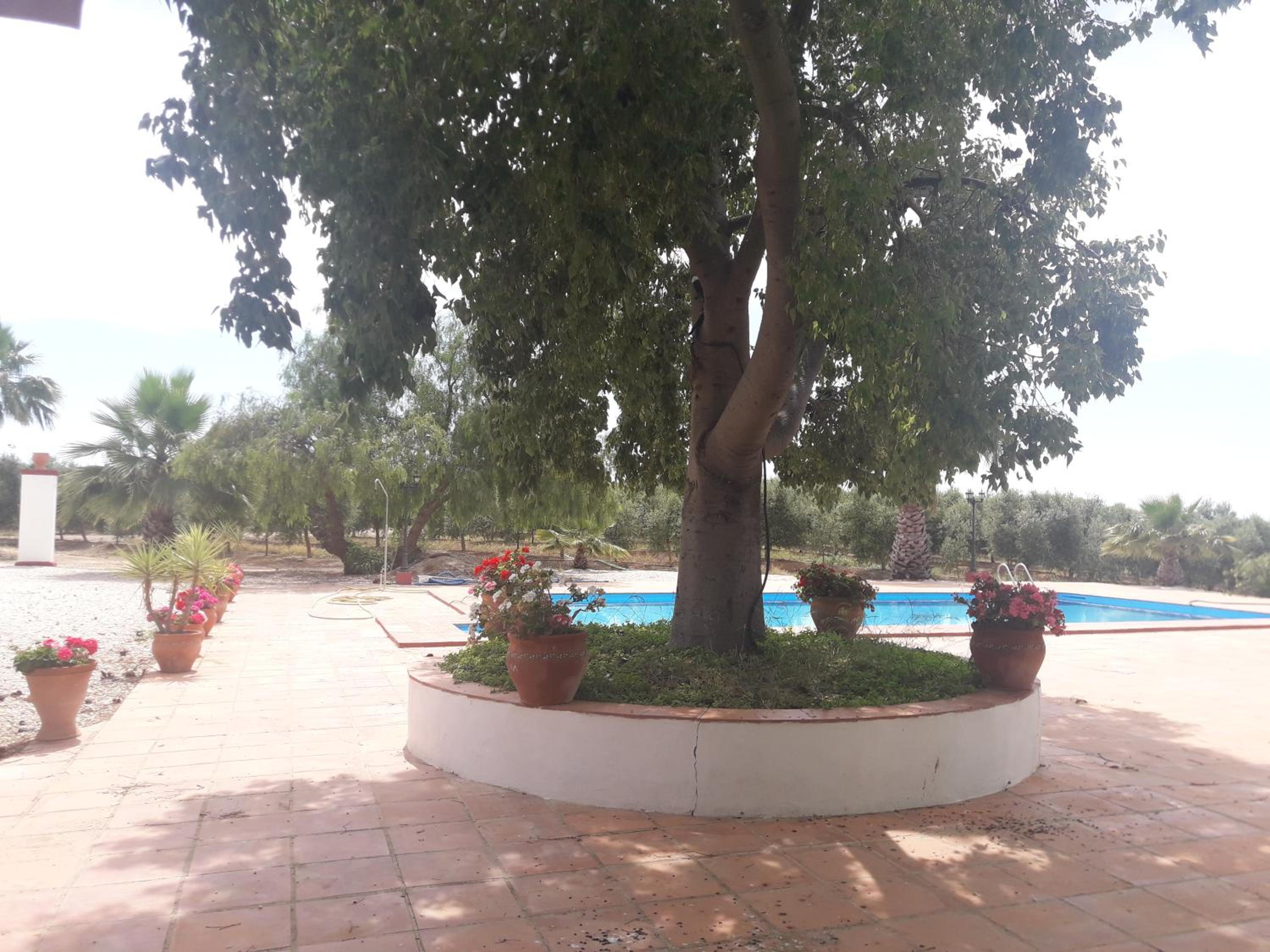 Finca Castellares