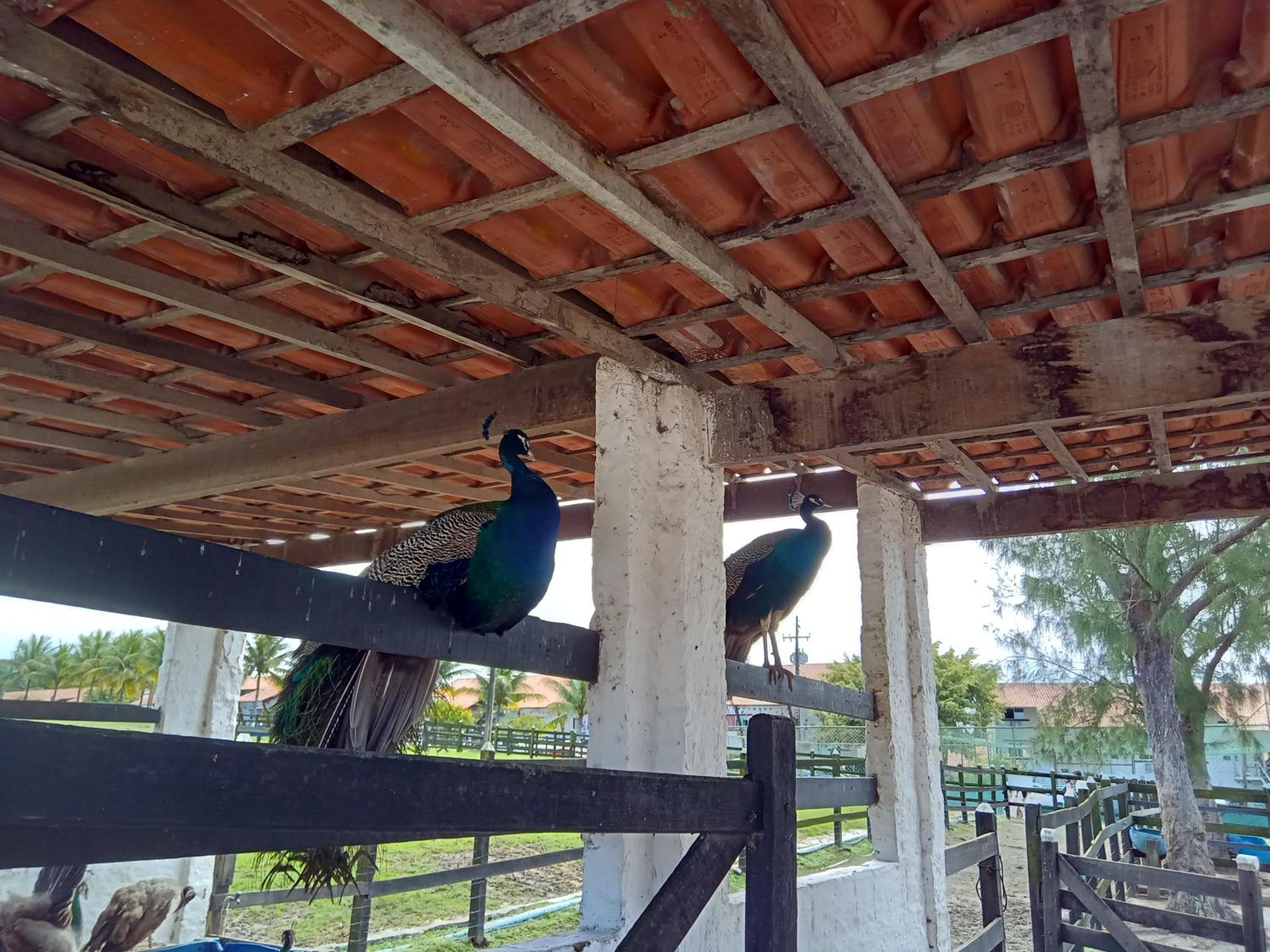 Flat 404 Villa Hipica