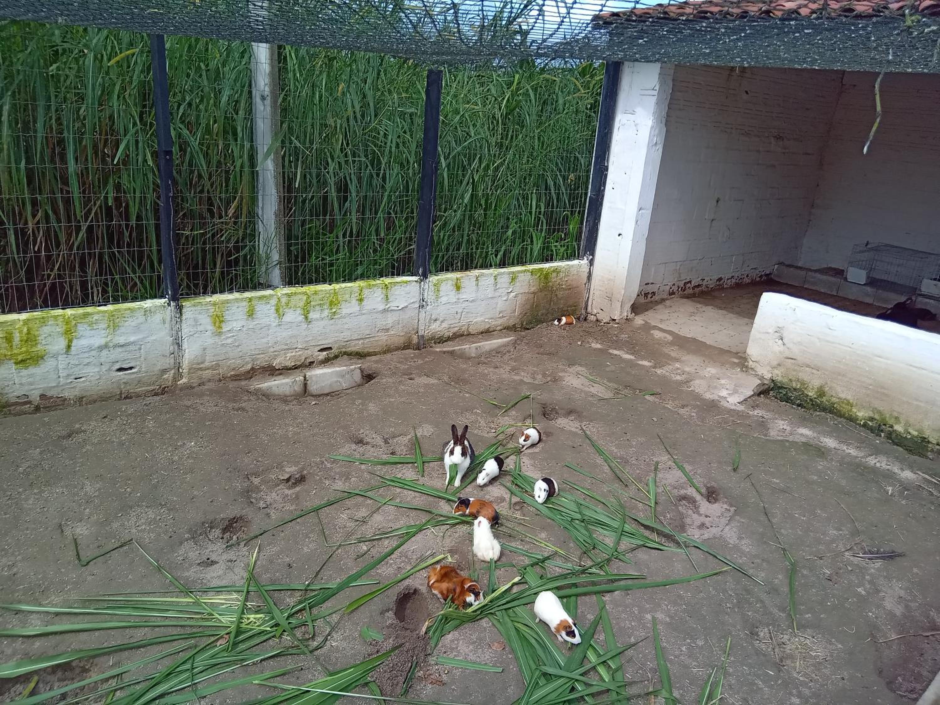 Flat 404 Villa Hipica