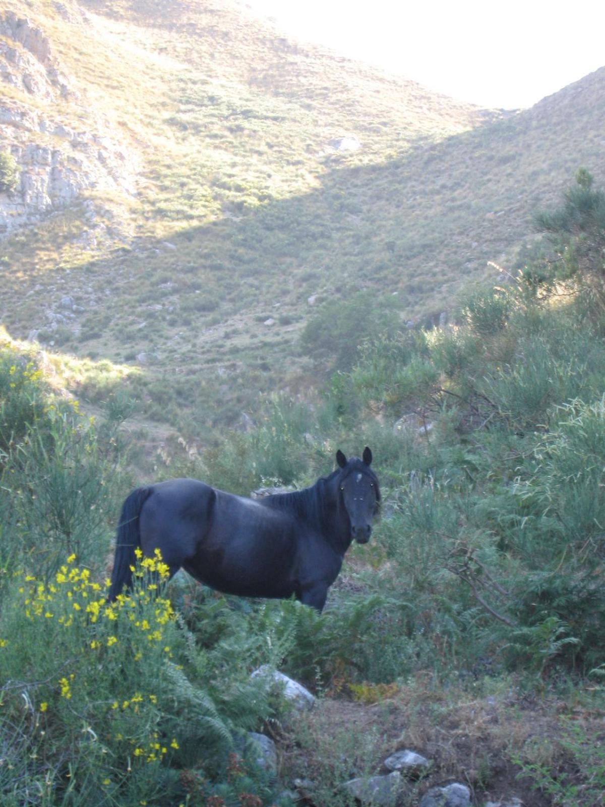 San leone. Secluded barn view 2