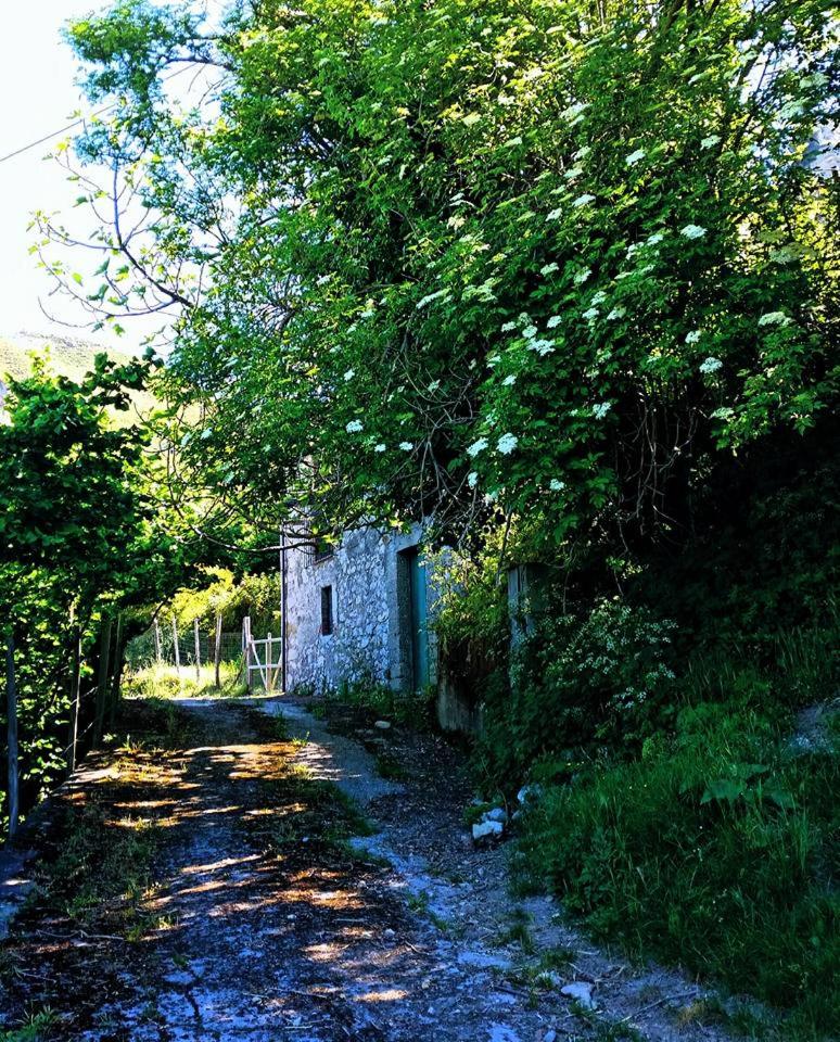San leone. Secluded barn view 5