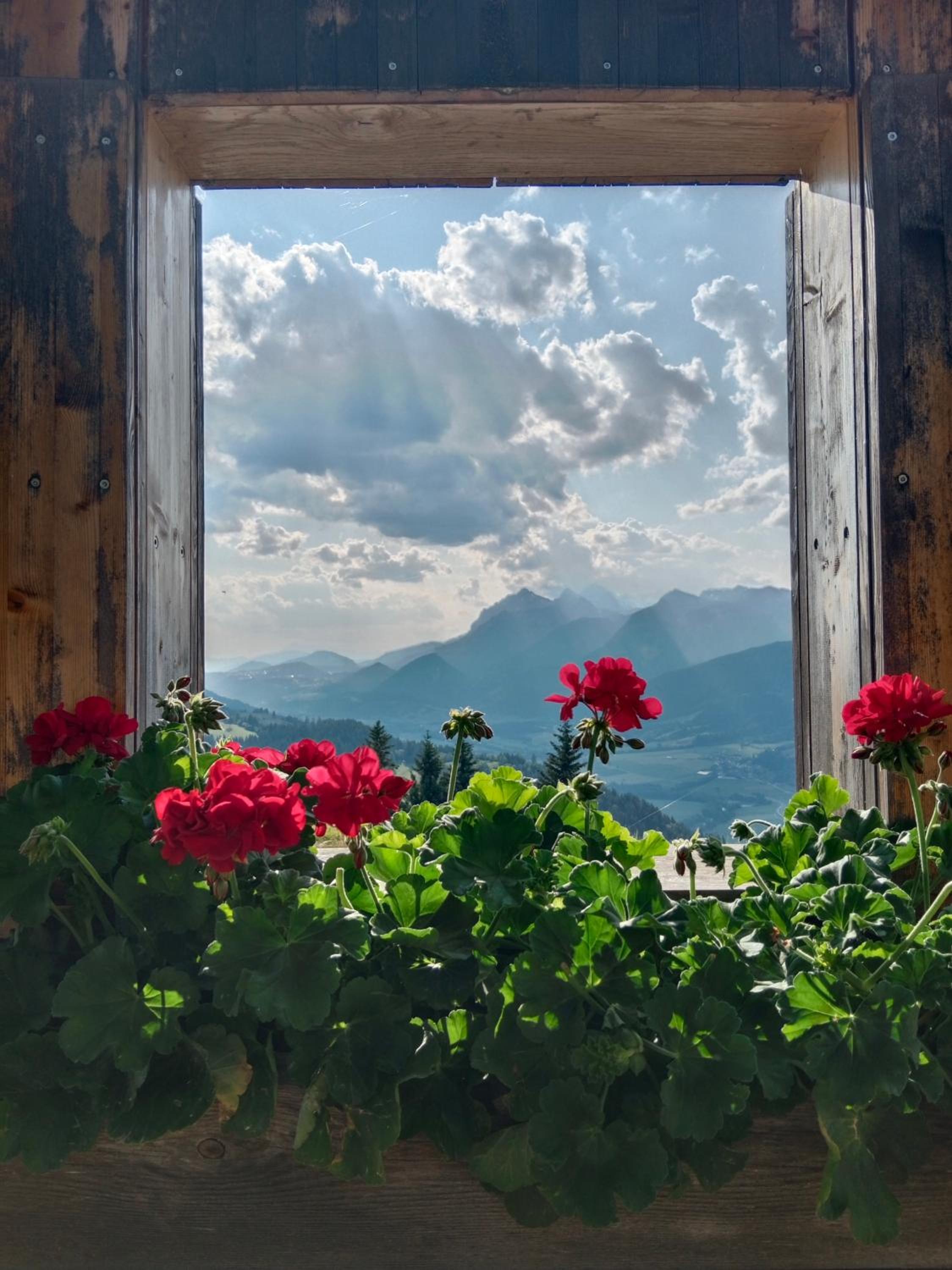 Appartement Haus Tanja