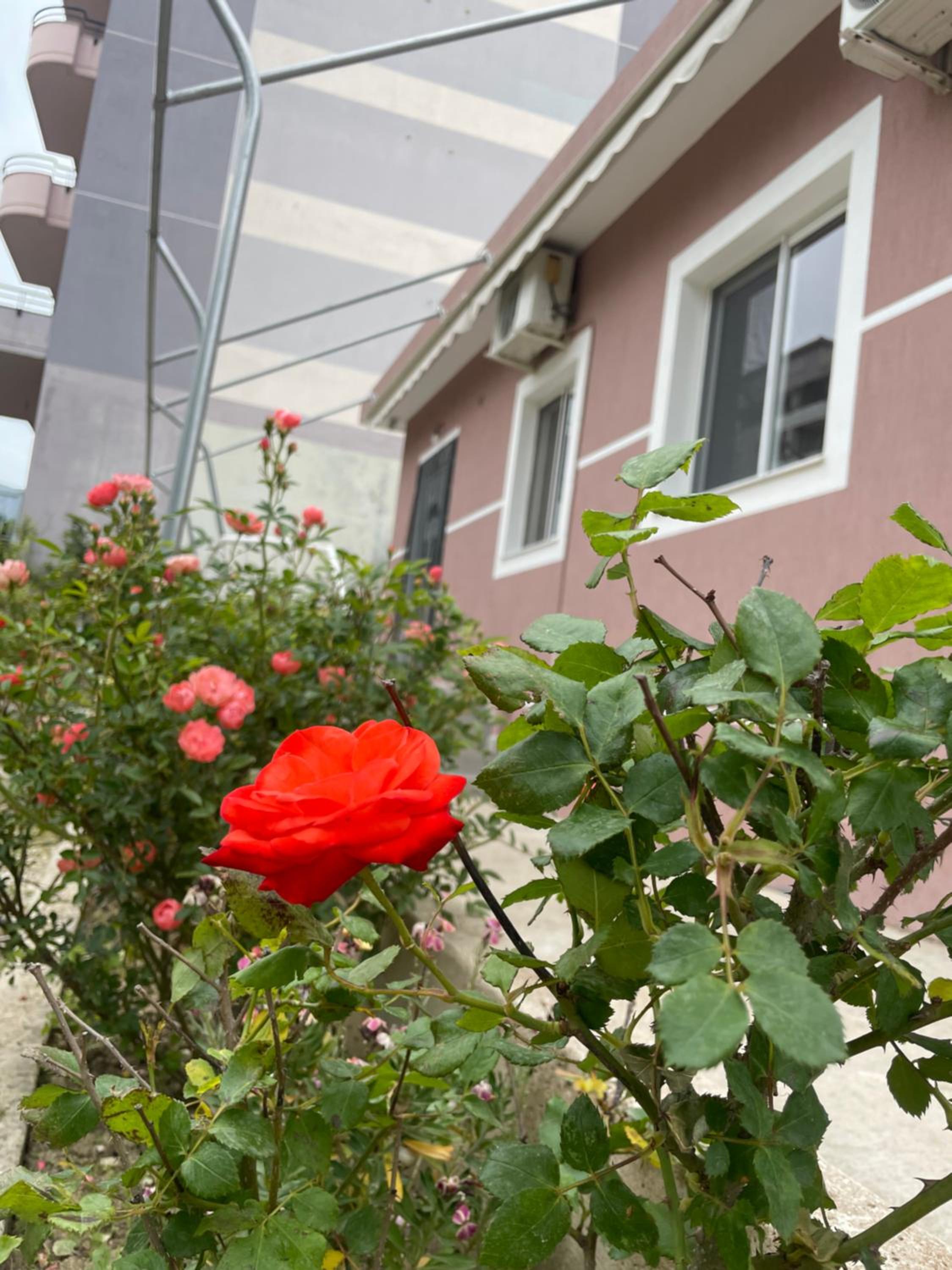 Guest House Begaj