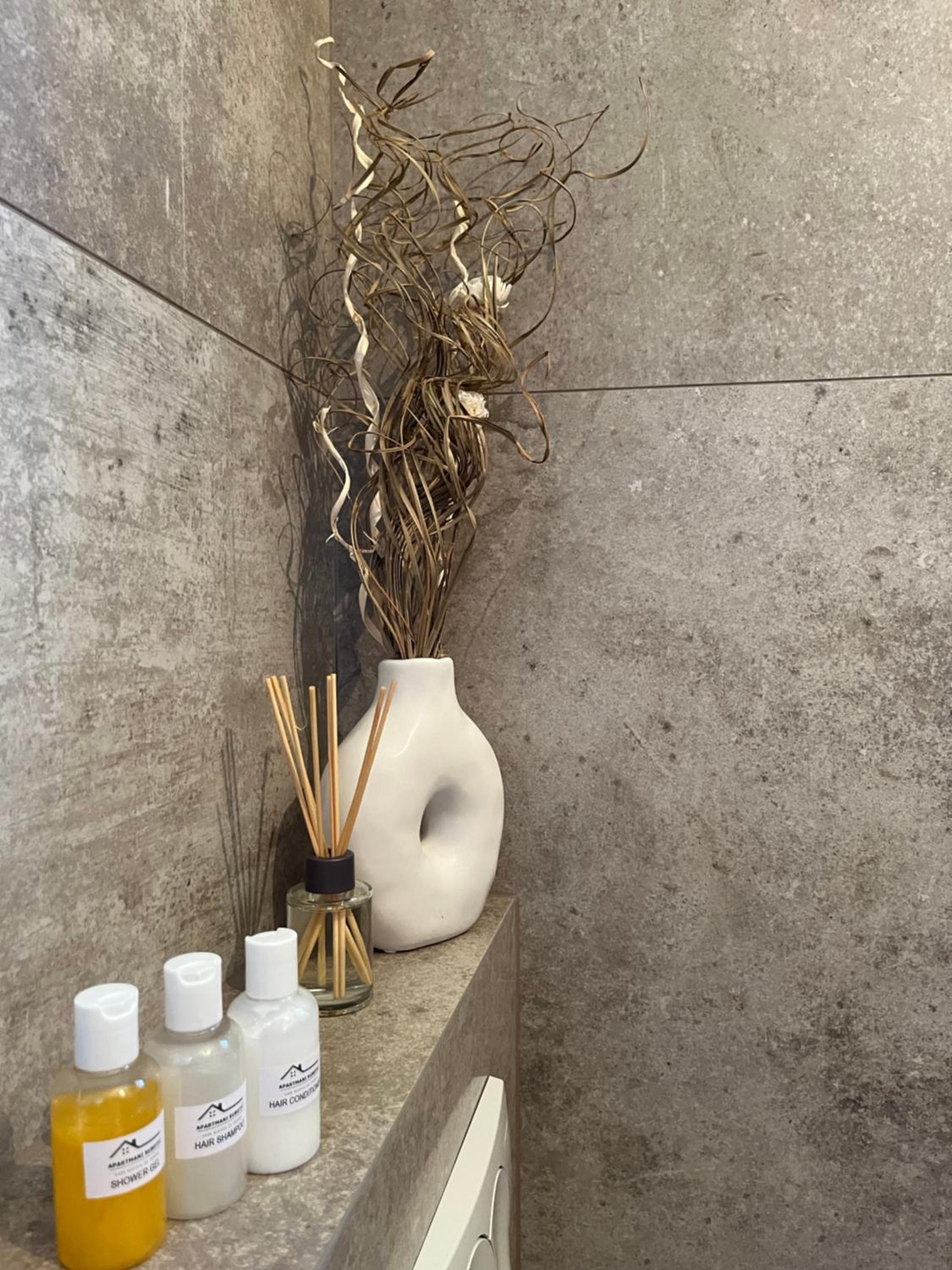 Apartmani Subotic