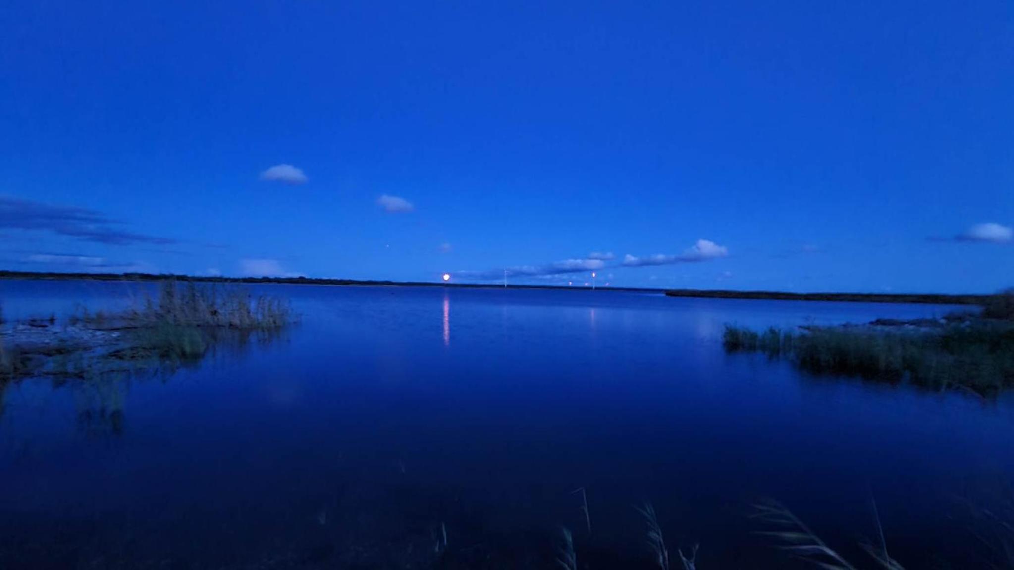 Elimaa-Lepiku