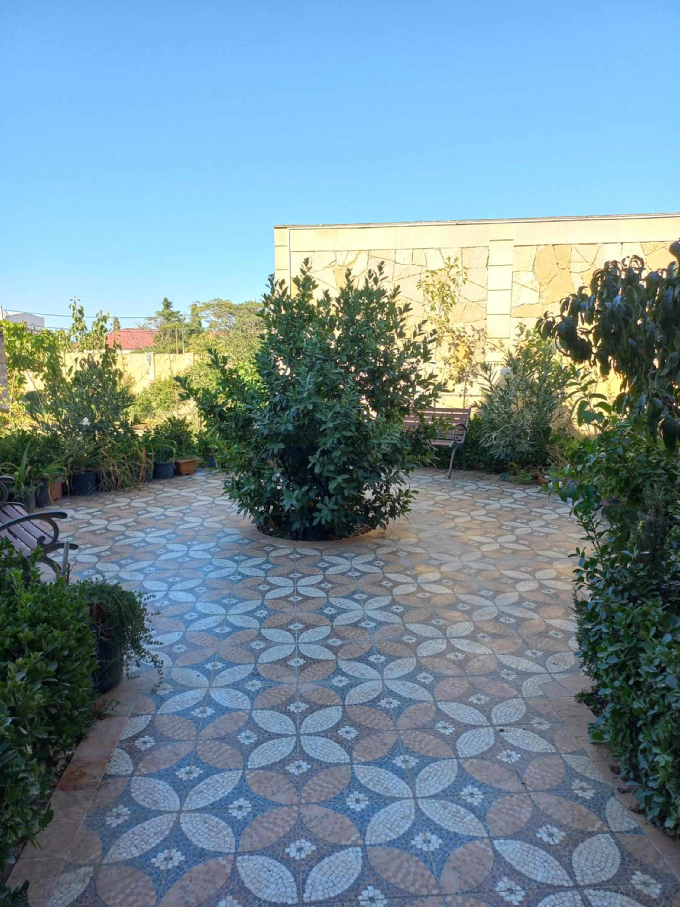 Photo 21