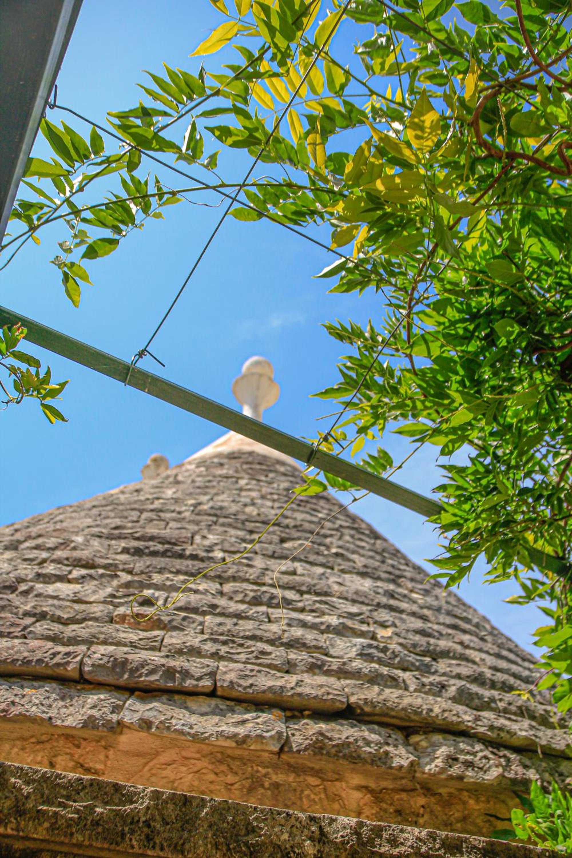 TRULLI OLISTICI