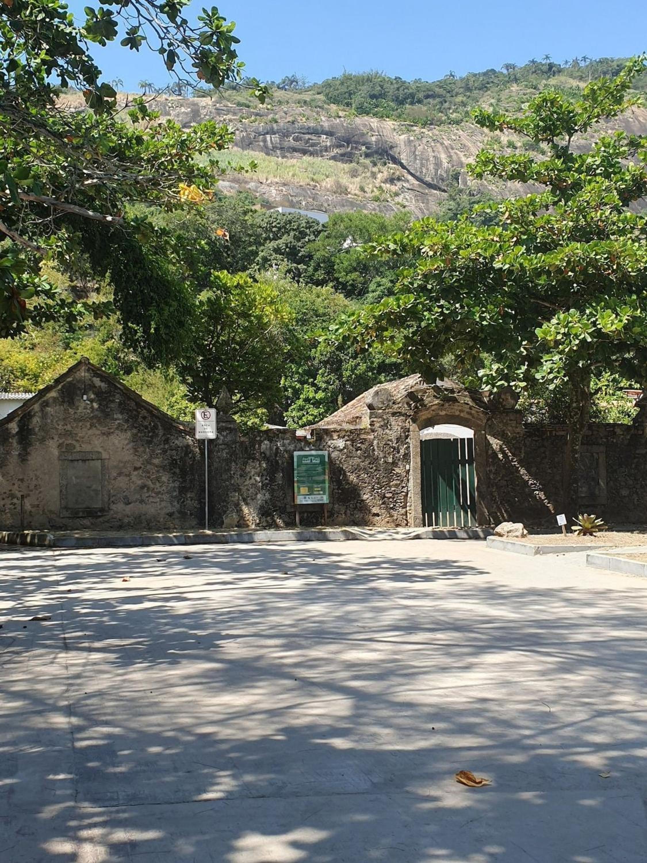 Andorinhas 