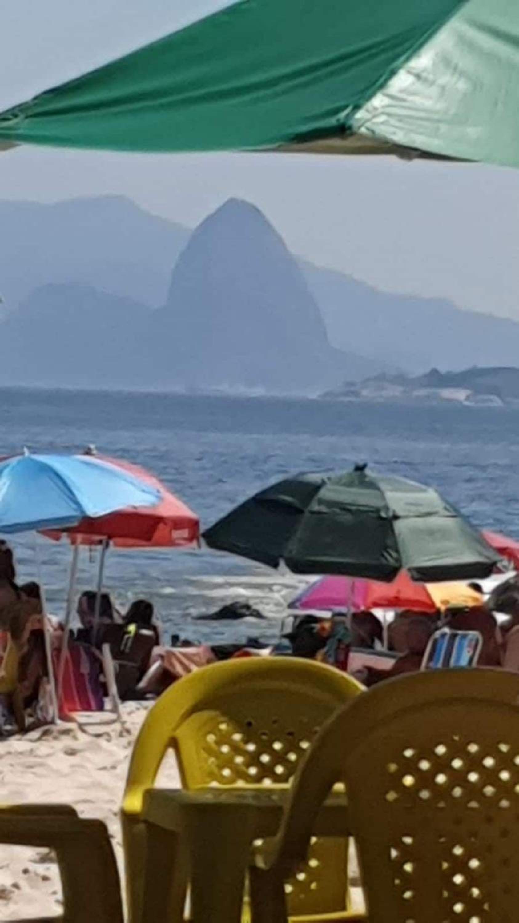 Andorinhas 