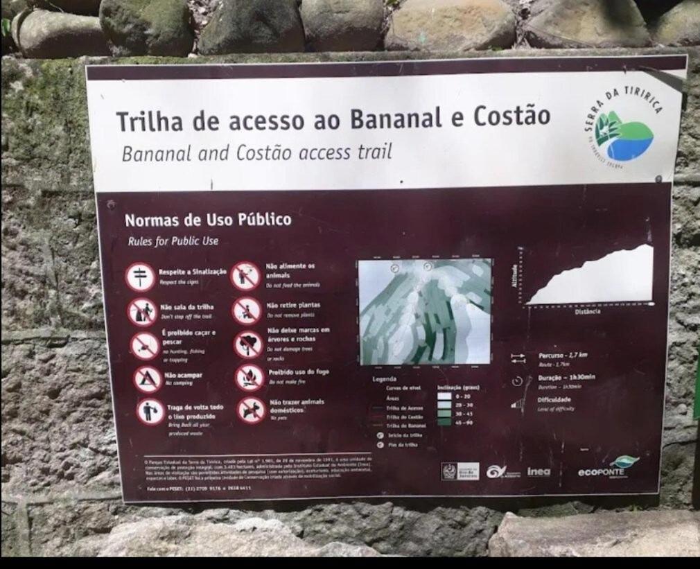 Andorinhas 