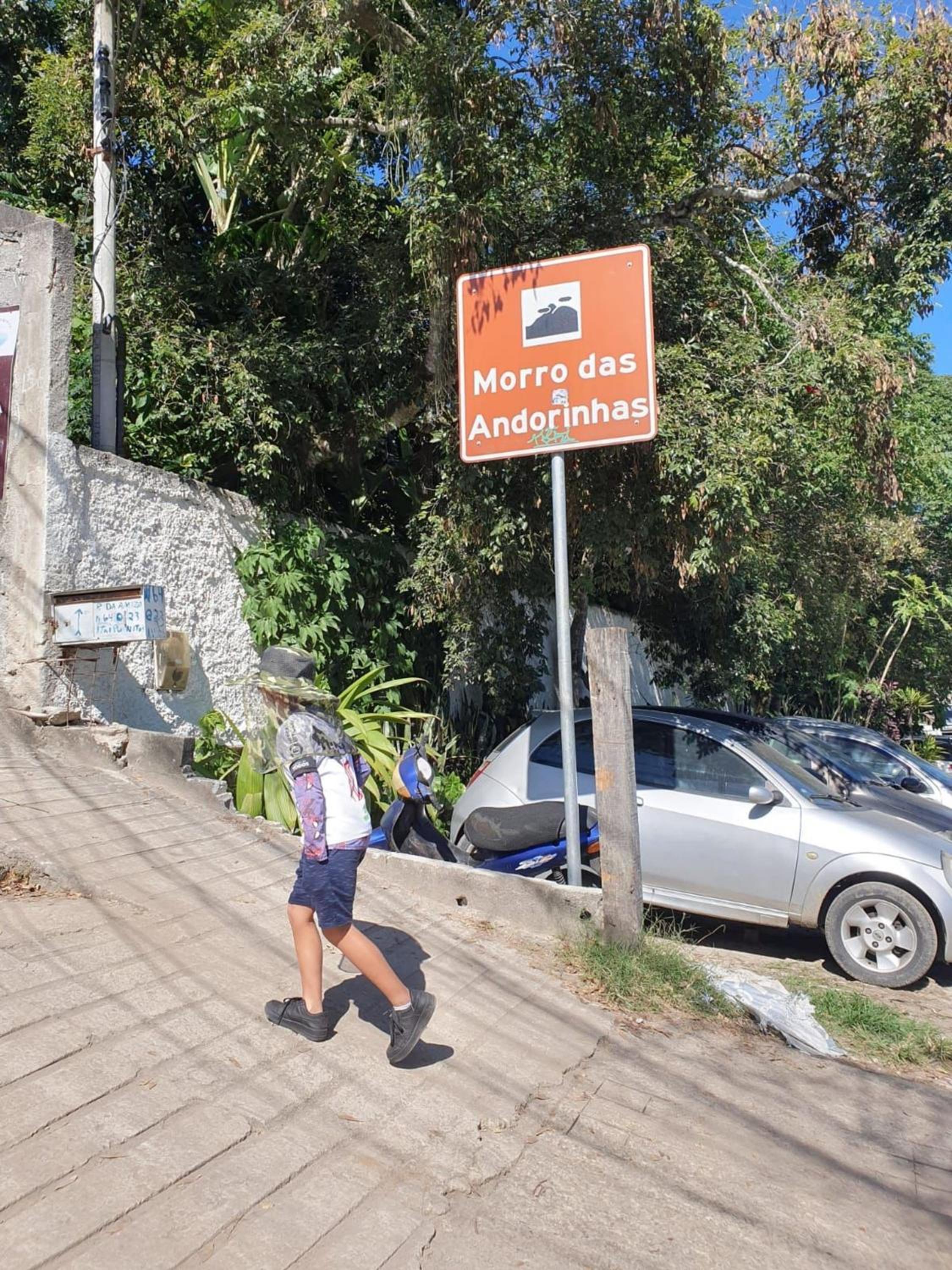 Andorinhas 