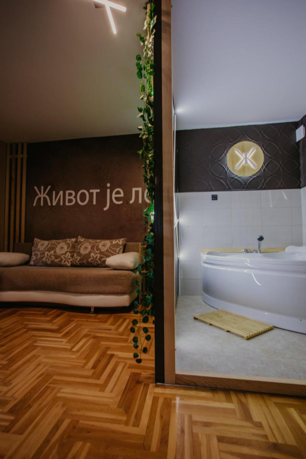 SPA apartments Kraljevo view 4