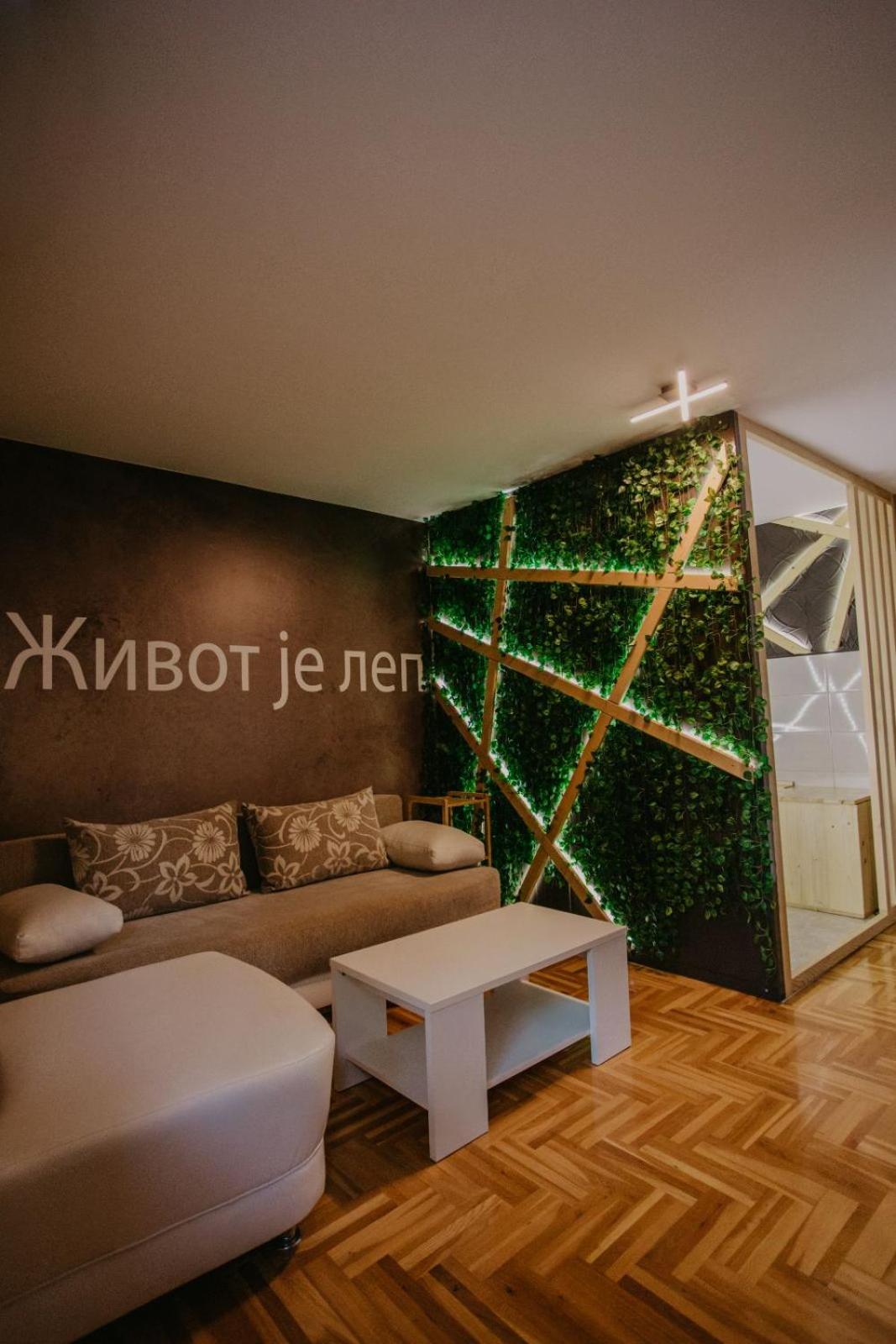 SPA apartments Kraljevo view 3