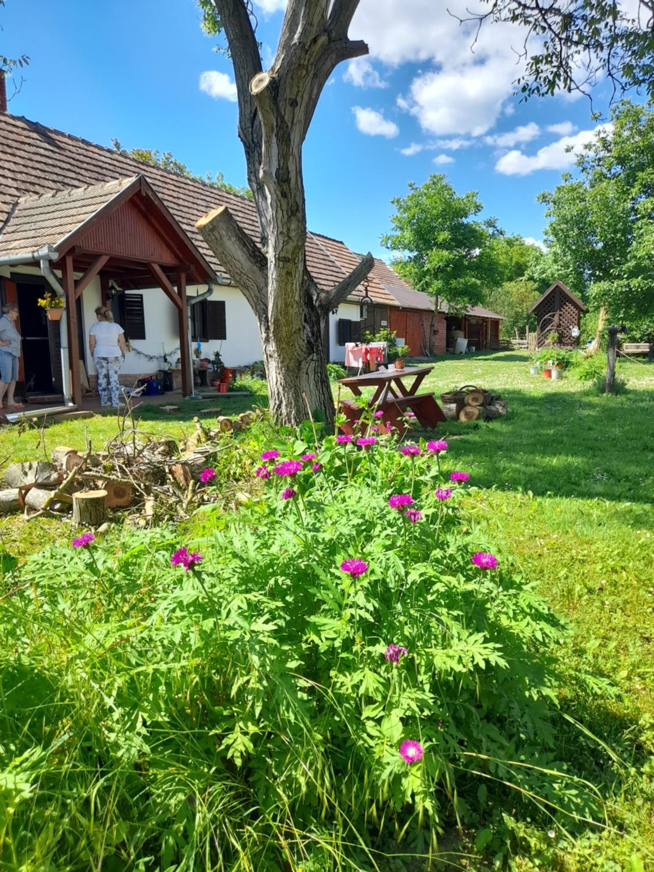 Photo 6